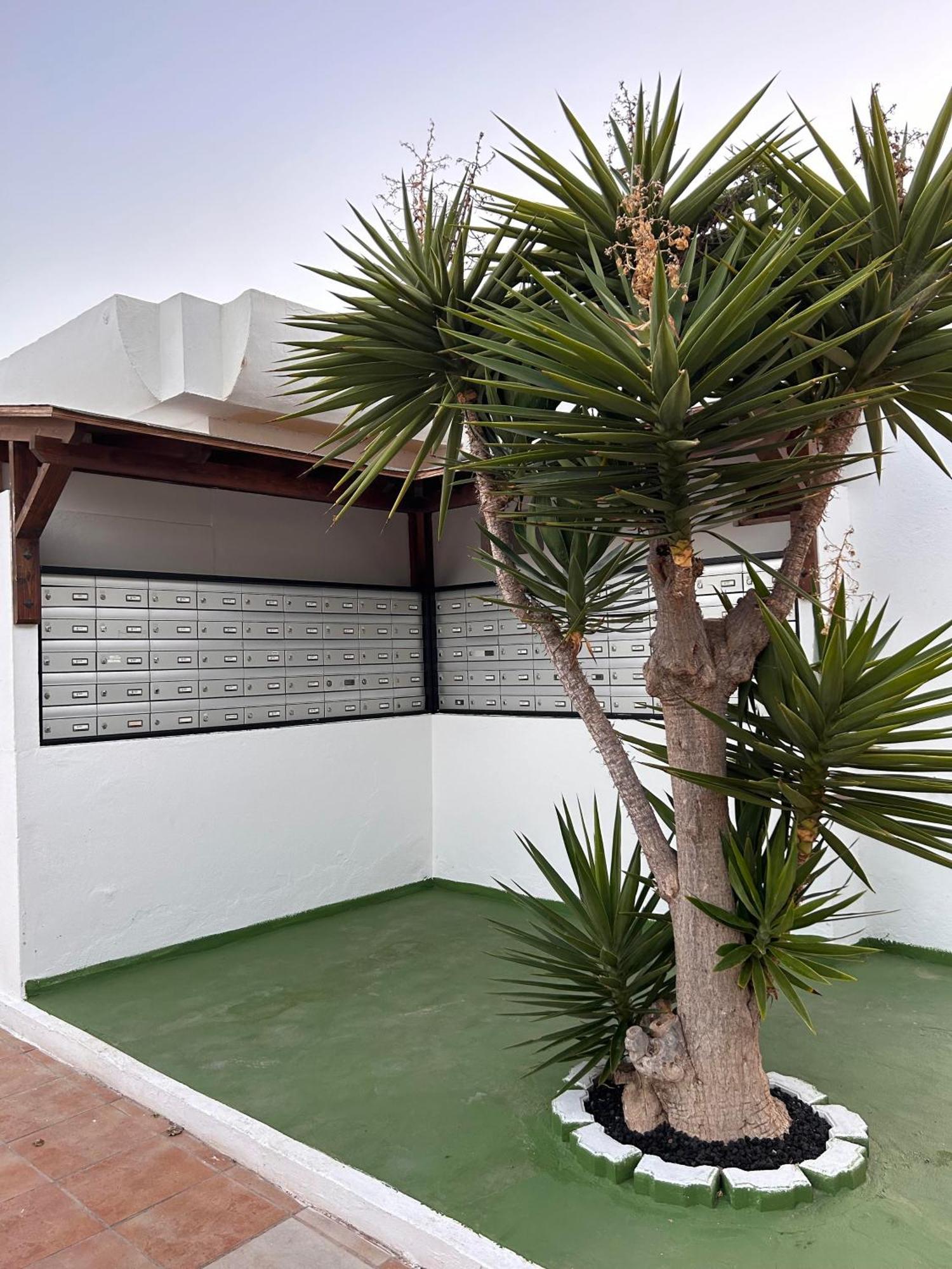 Casa Dunasol * Corralejo