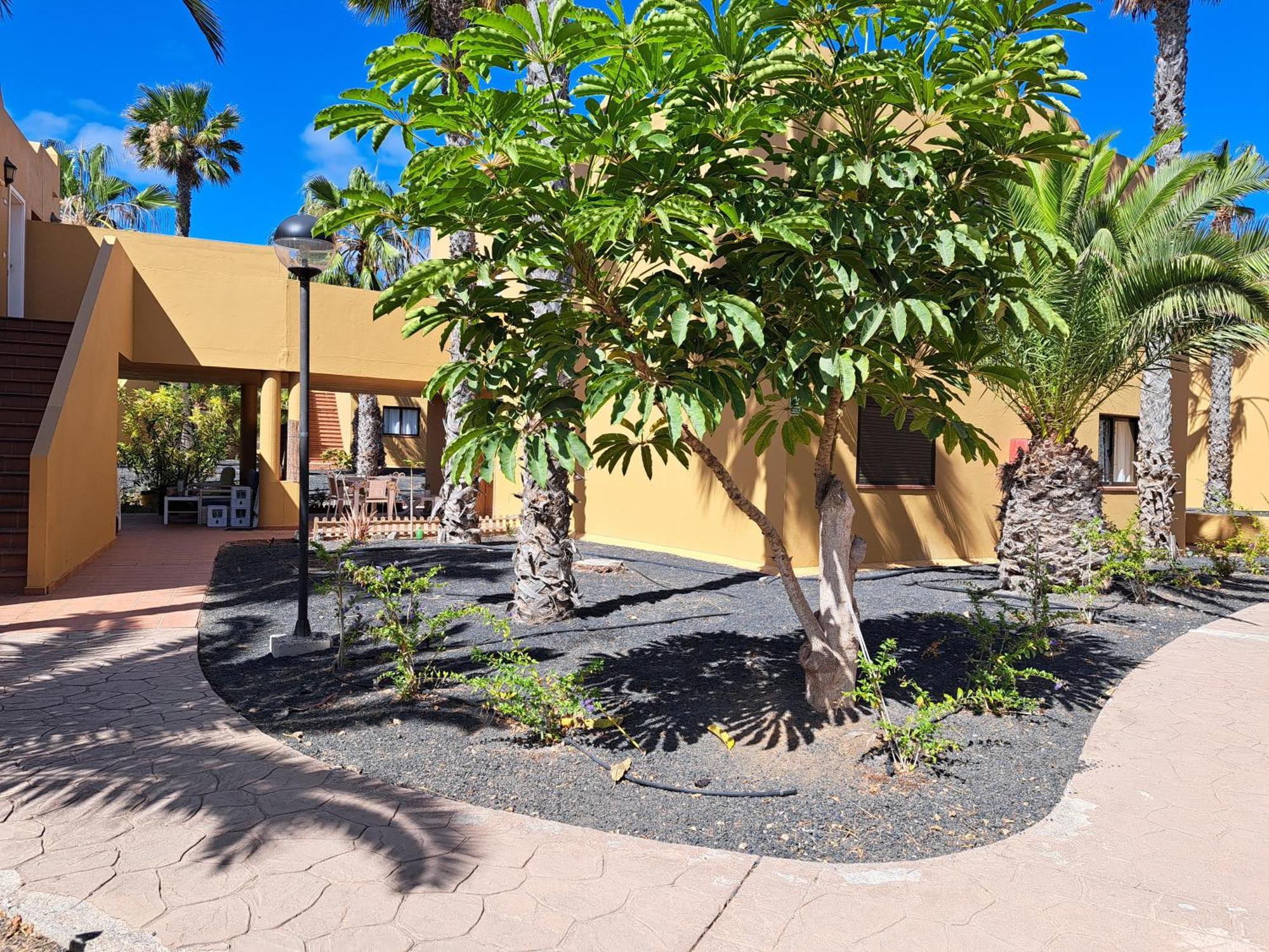Casa Manba * Corralejo