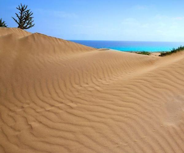 Sol Y Sal De Corralejo-only Adults- Apartment Corralejo