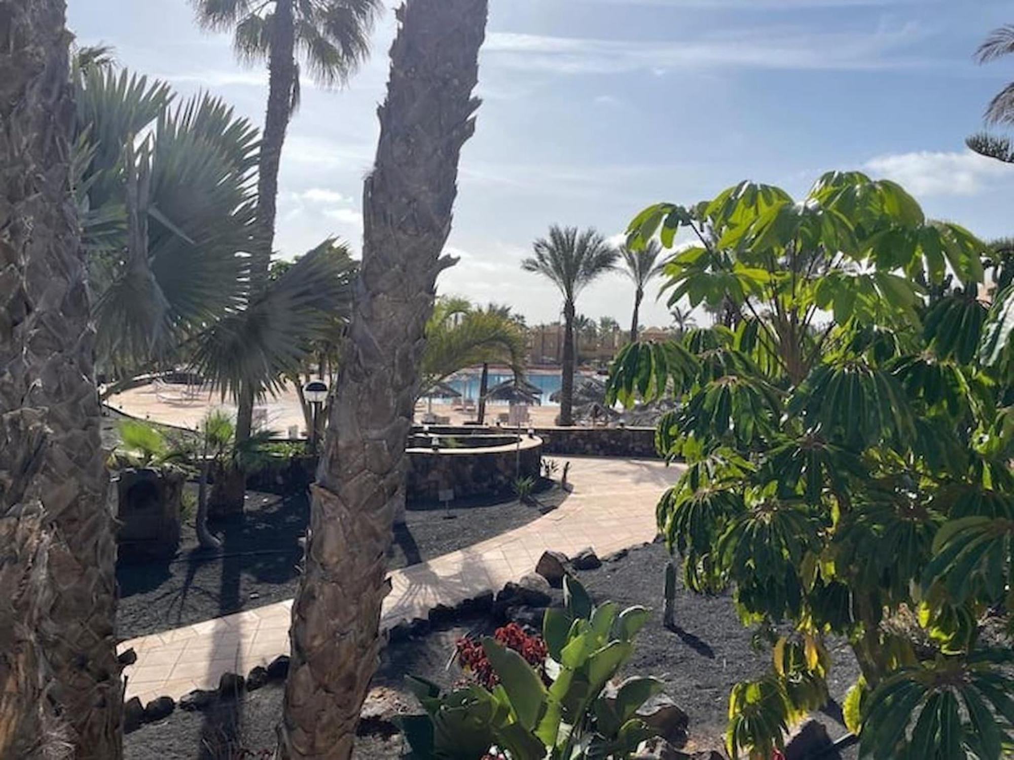 Oasis Sun & Soul, Pool And Wifi By Rentalfue Appartement