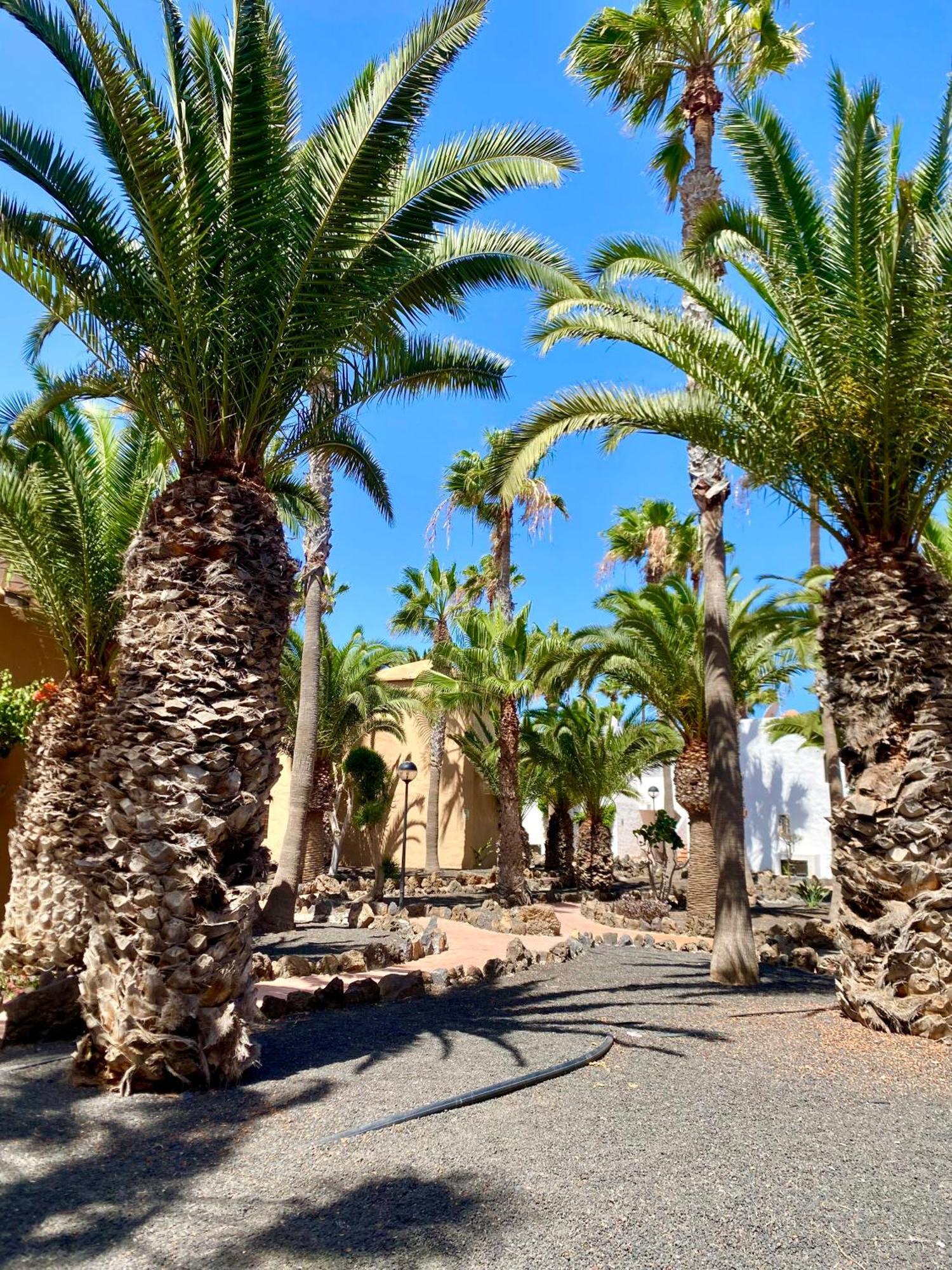 Blanca Del Sol Oasis Duna Apartment *