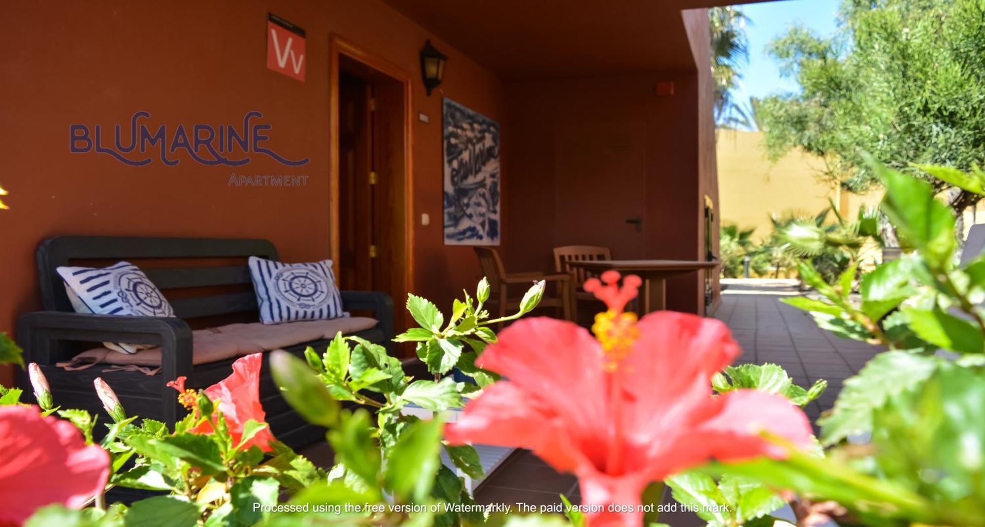 Tamarindo Blumarine - Pool & Wifi Free 4 Persons * Corralejo