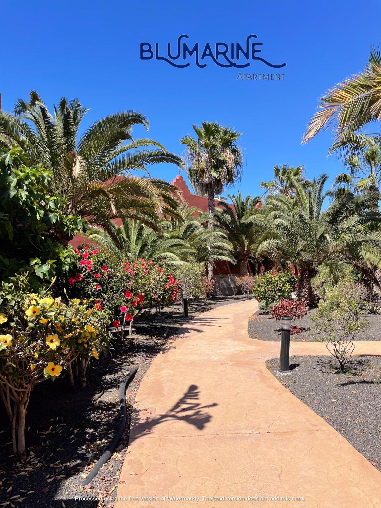 Tamarindo Blumarine - Pool & Wifi Free 4 Persons Corralejo