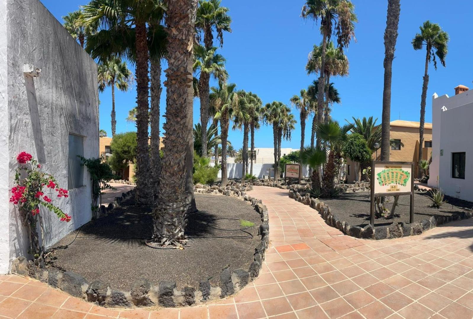 Gala Corralejo