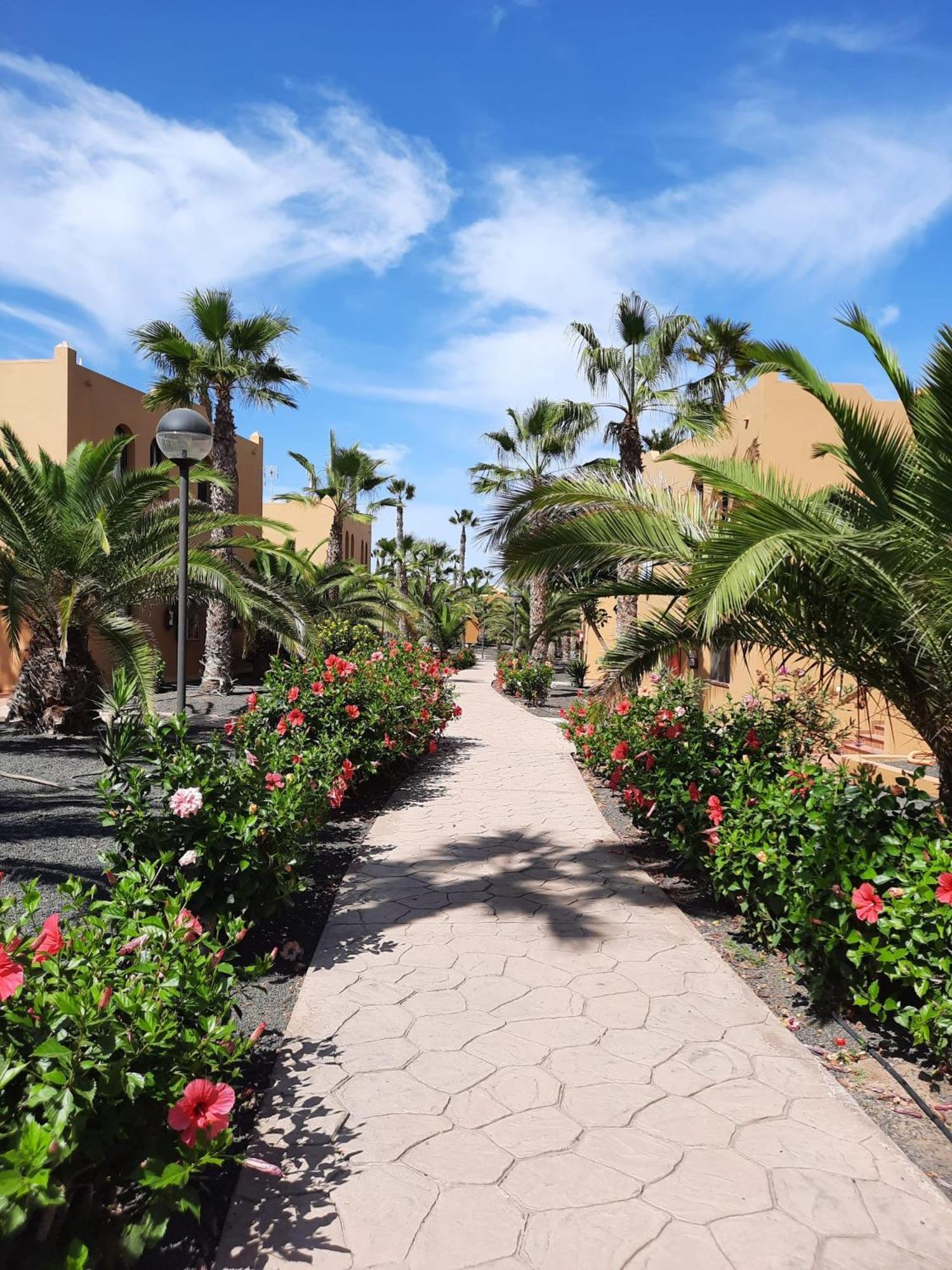 Casa Ola Oasis Papagayo * Corralejo