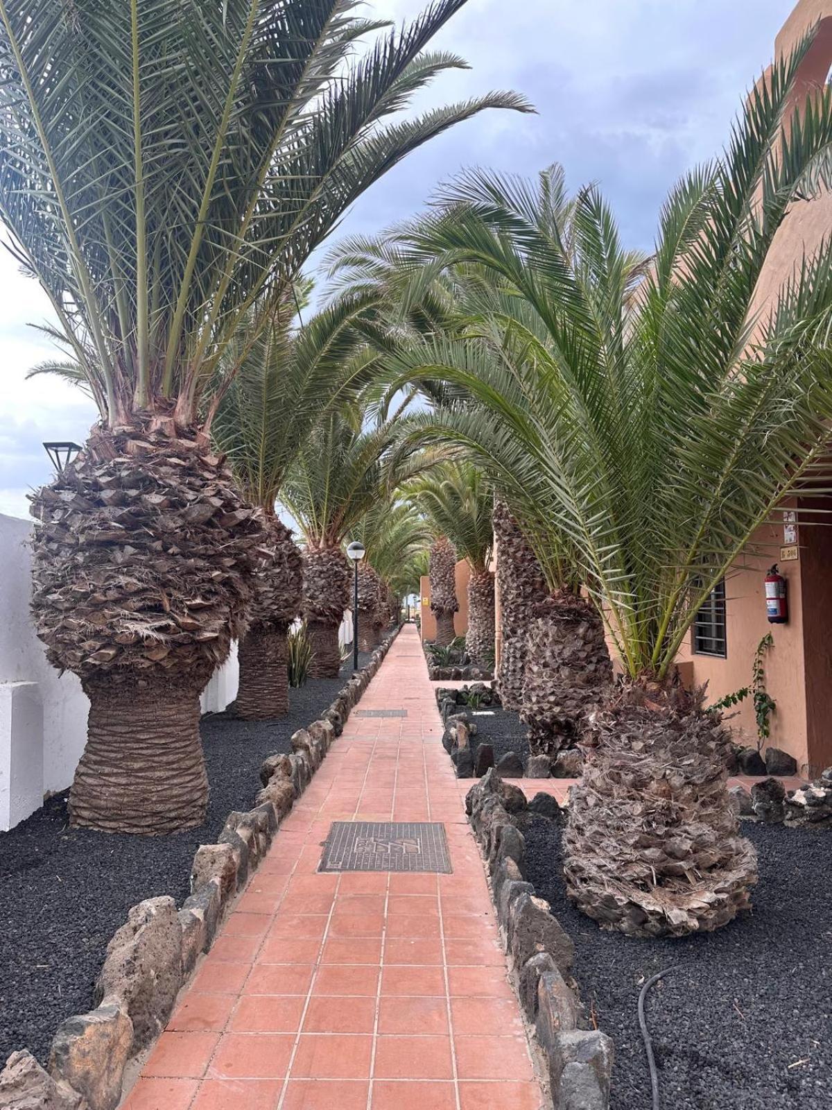 Casa Dunas Oasis *