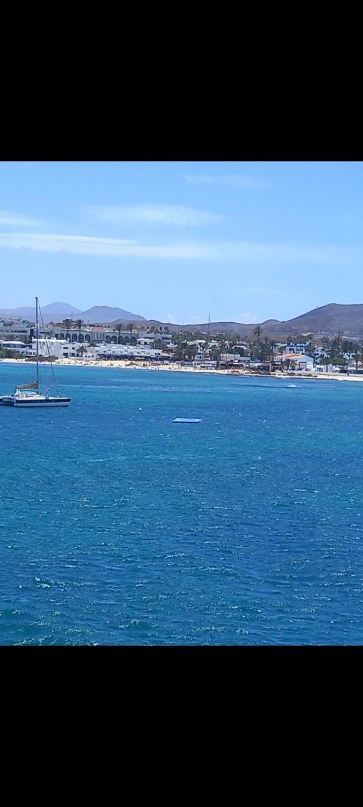 Delfines Corralejo