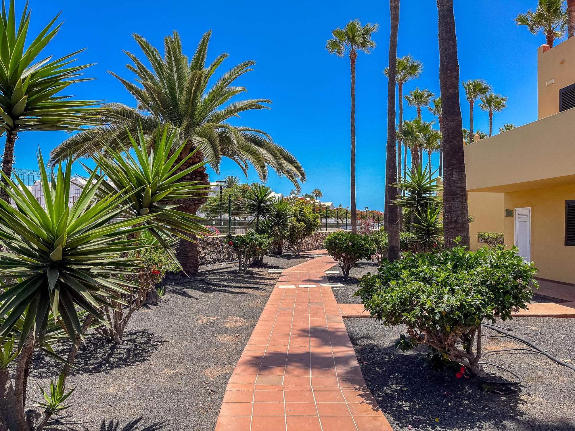 Oasis Royal F314 Corralejo
