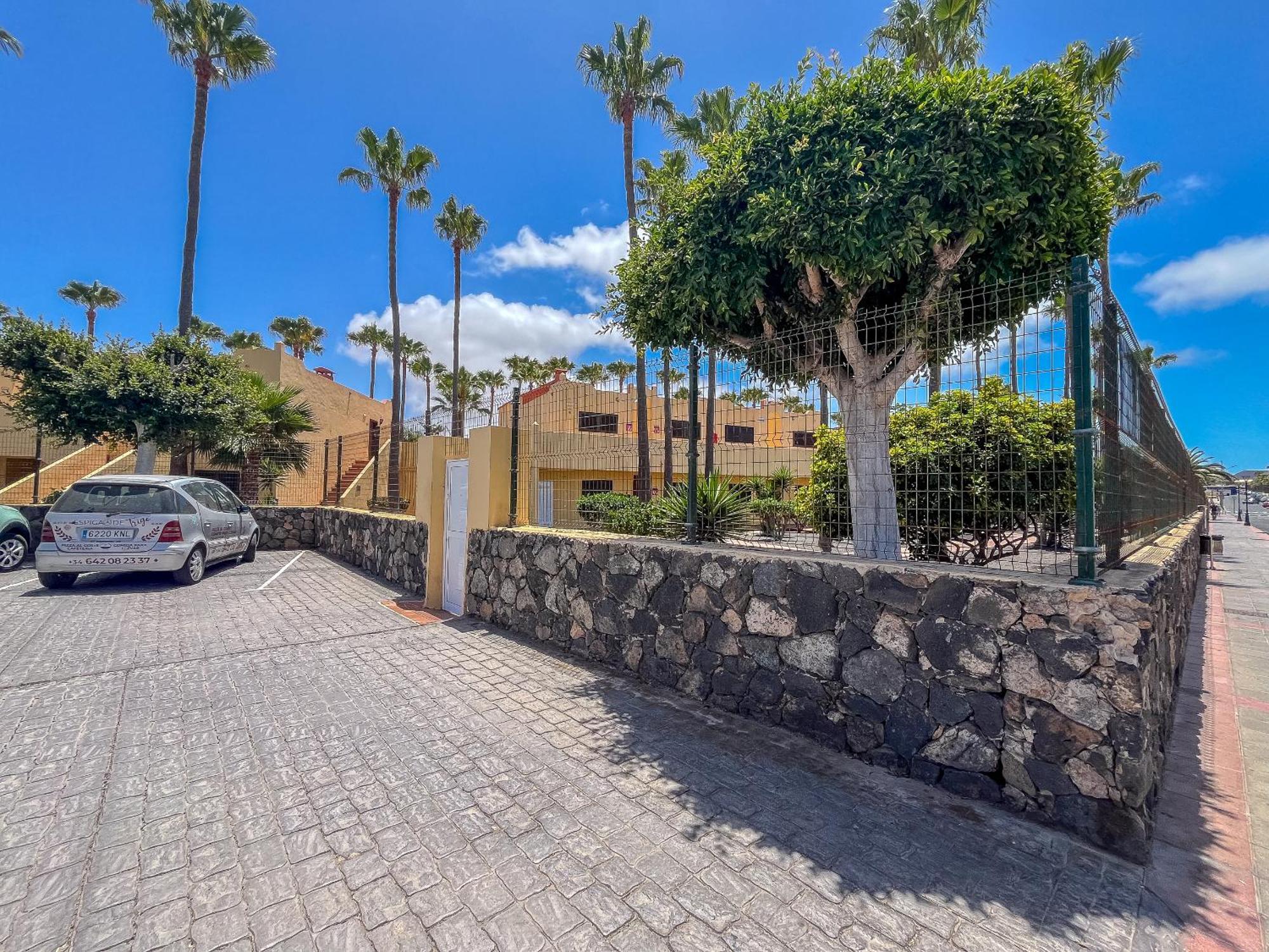 Oasis Royal F314 * Corralejo
