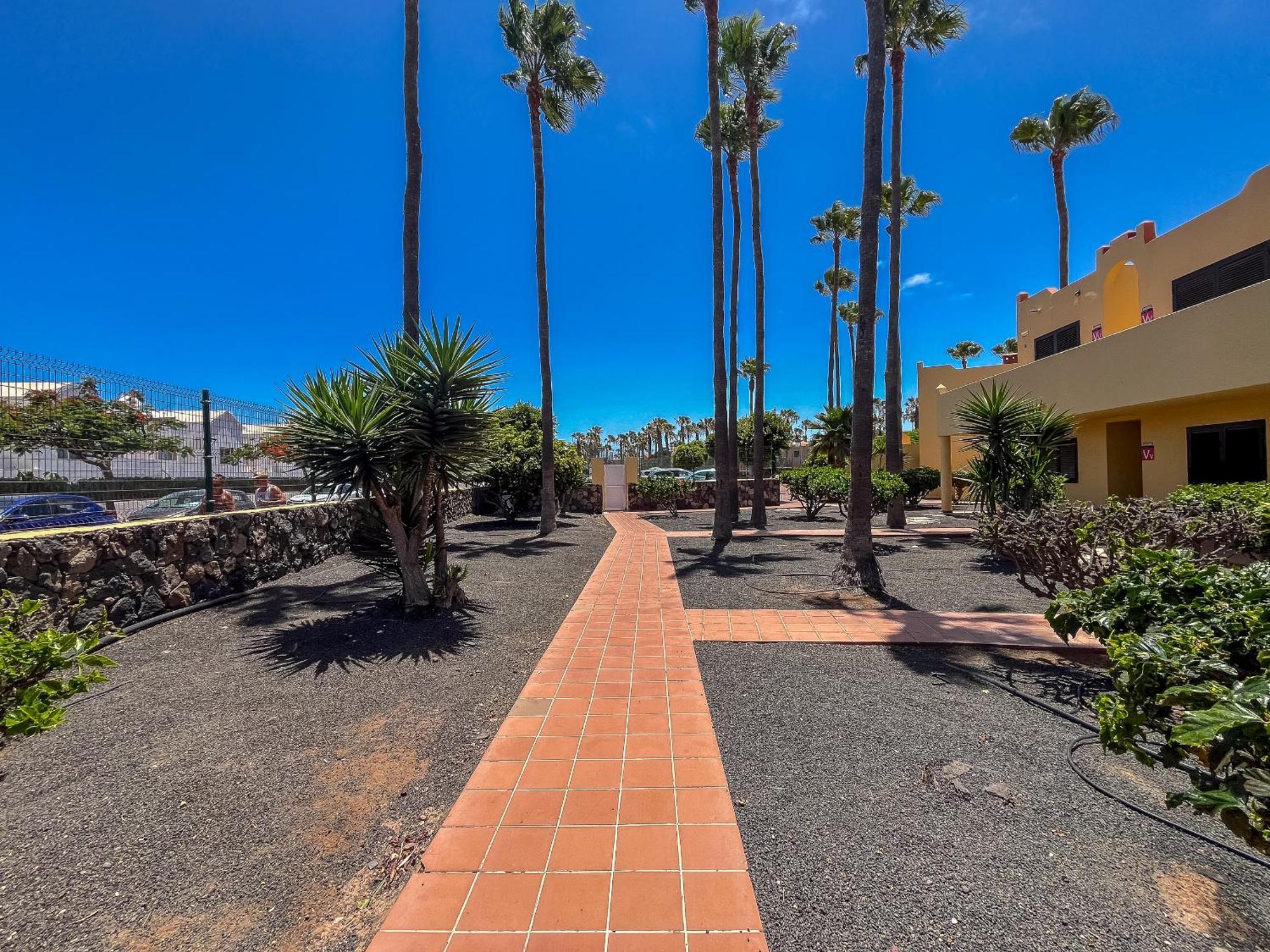 Oasis Royal F314 * Corralejo