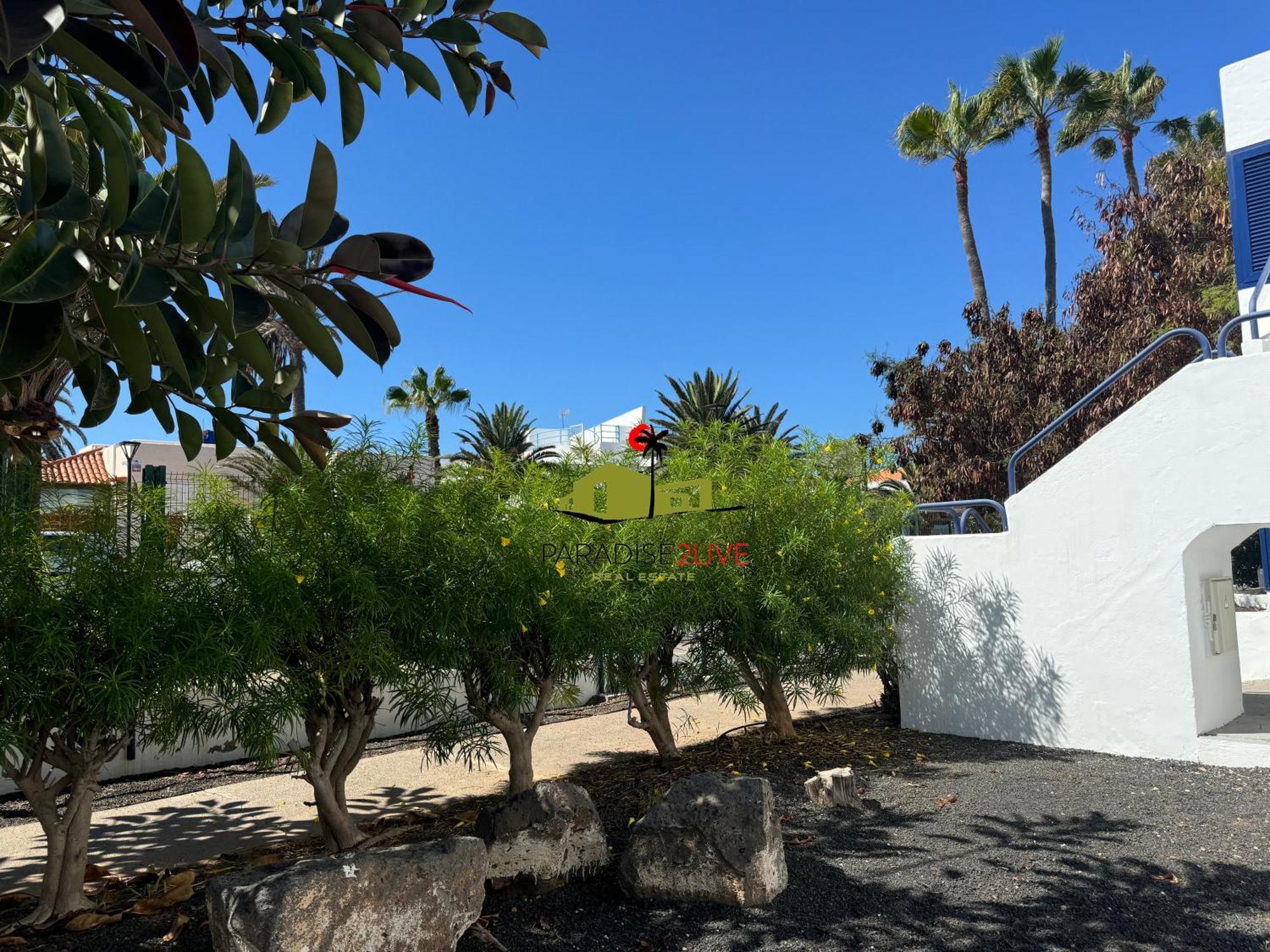 Urban Apartment Corralejo