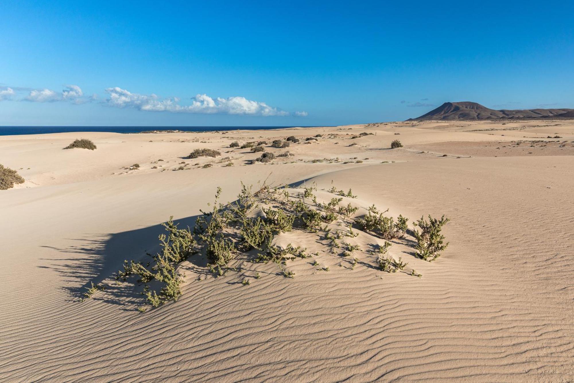 Apartamento 2br - Solarium & Barbacue Corralejo