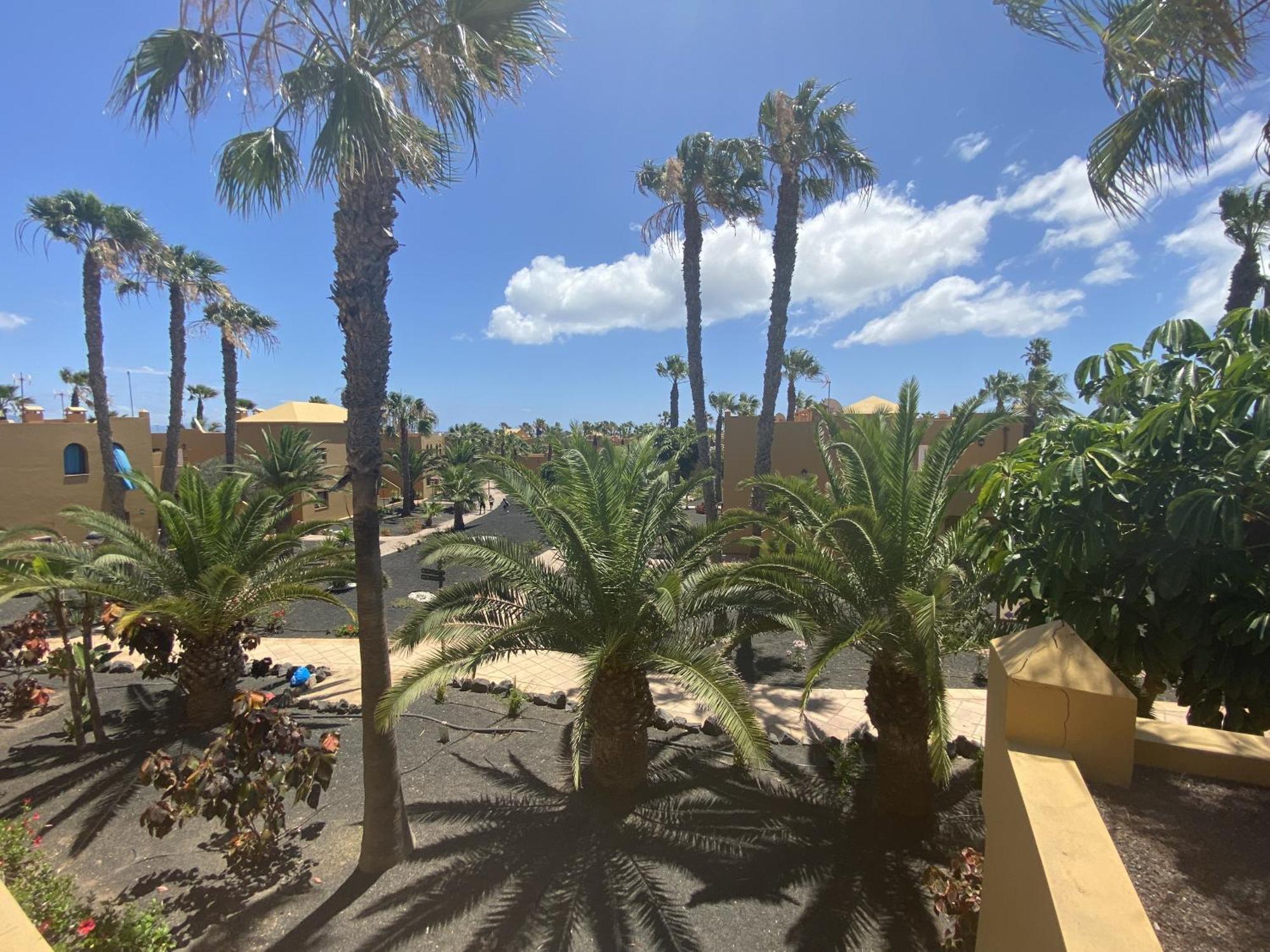 Casa Papagayo *