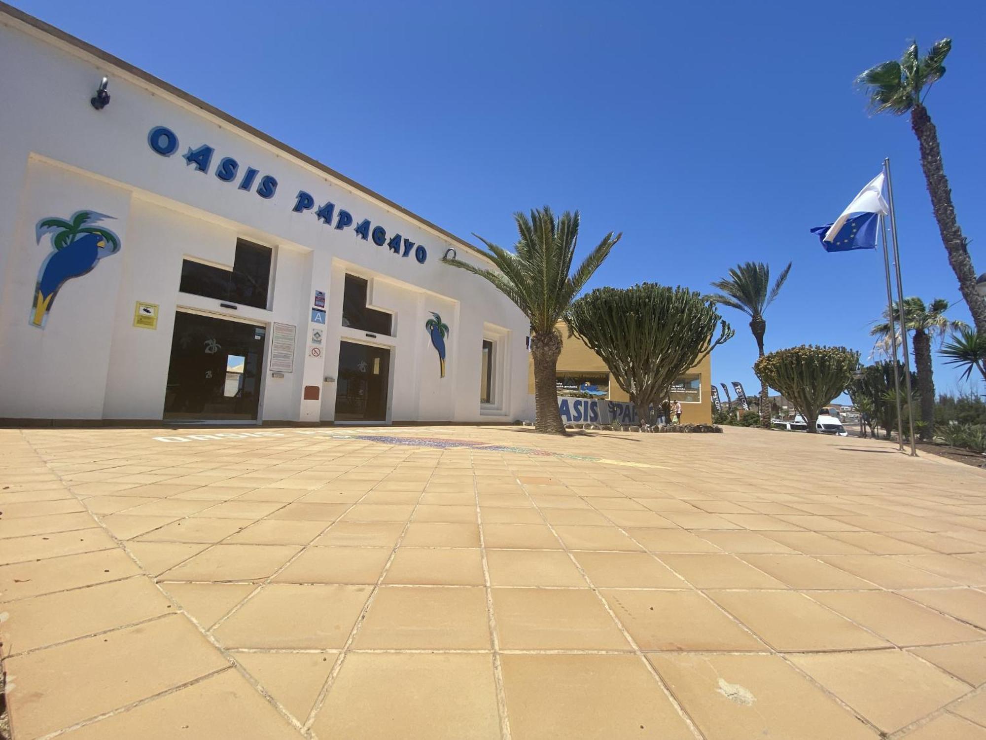 Apartment Casa Papagayo Corralejo