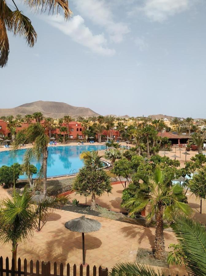 Apartment Oasis Tamarindo Poppins Pool E Terrace *