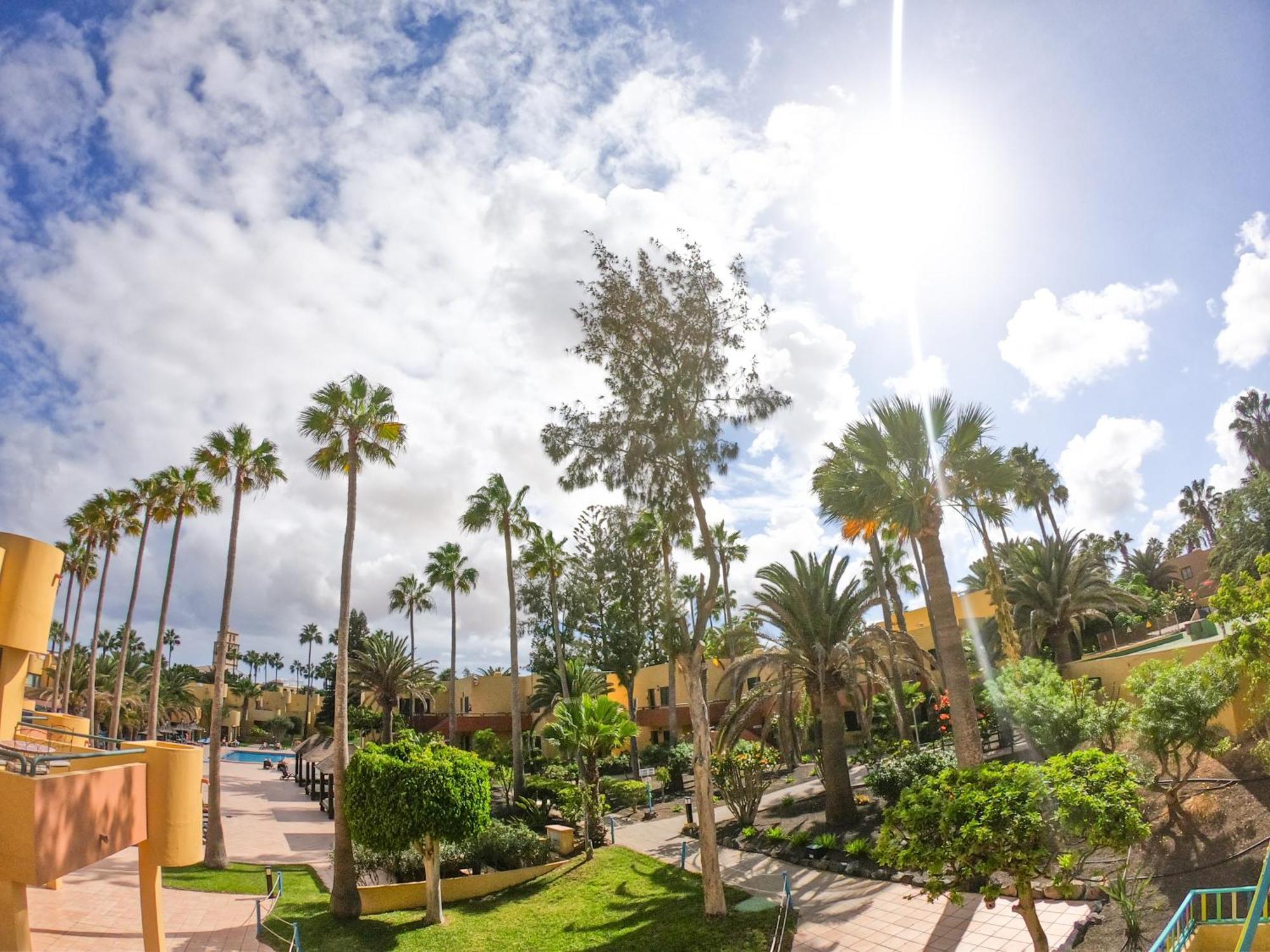 Apartamento Drago 1 Atlantic Garden Corralejo