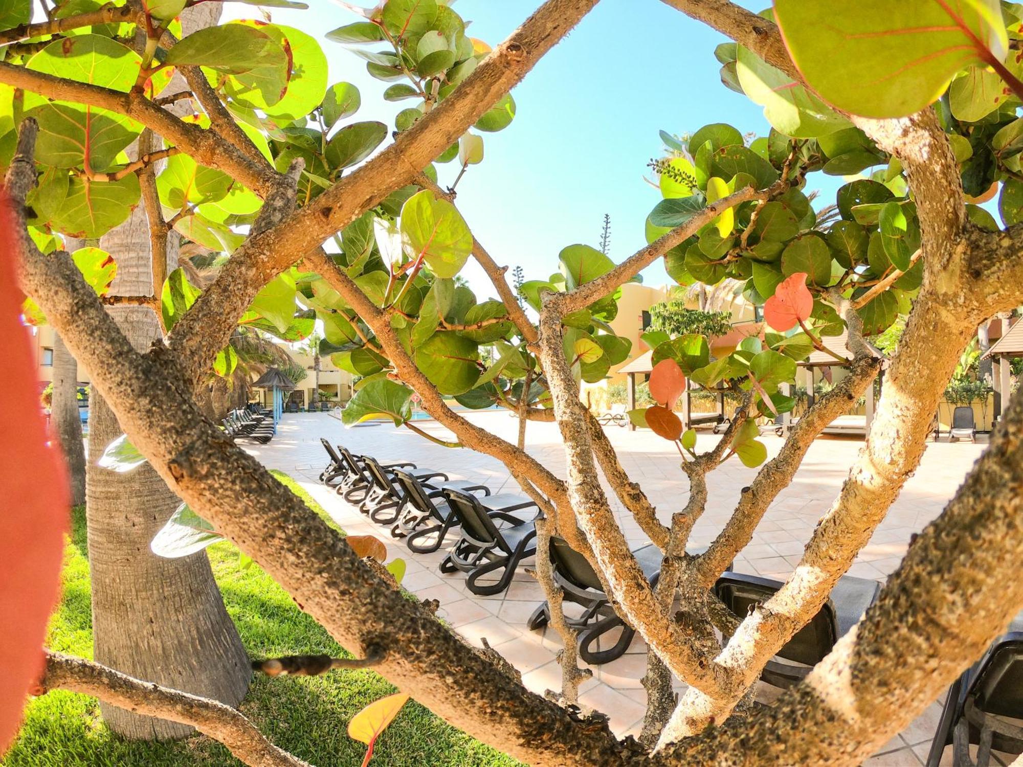 Apartamento Drago 1 Atlantic Garden Corralejo
