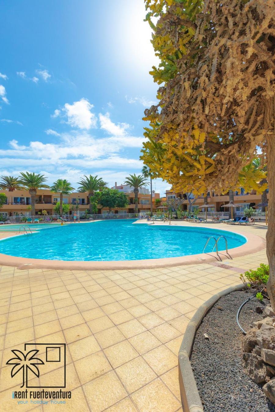 Hola Bent Pool And Terrace Irent Fuerteventura Apartment