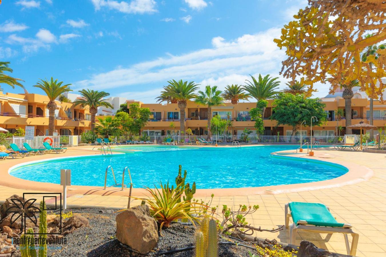 Hola Bent Pool And Terrace Irent Fuerteventura