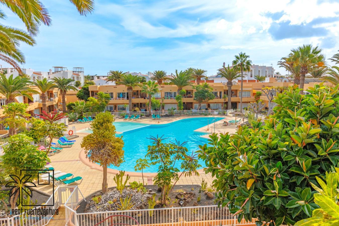 Hola Bent Pool And Terrace Irent Fuerteventura Apartment Corralejo