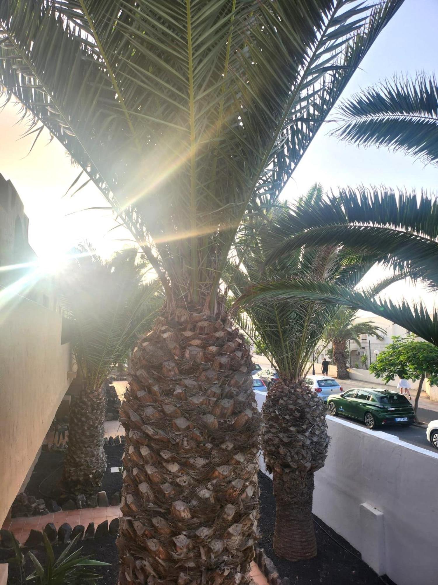 Casa Oceania * Corralejo