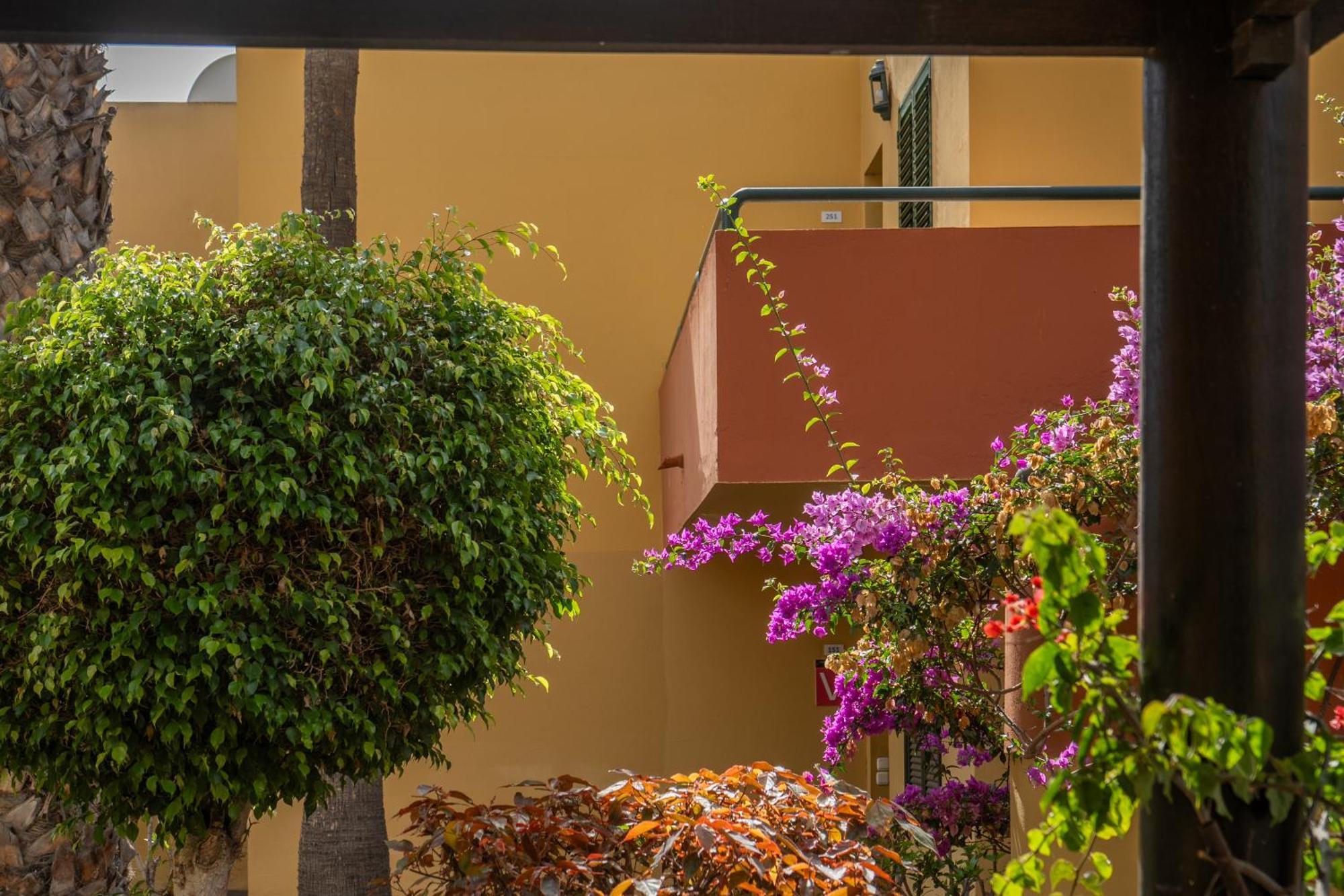 Casa Oceano Atlantik Garden Apartment *