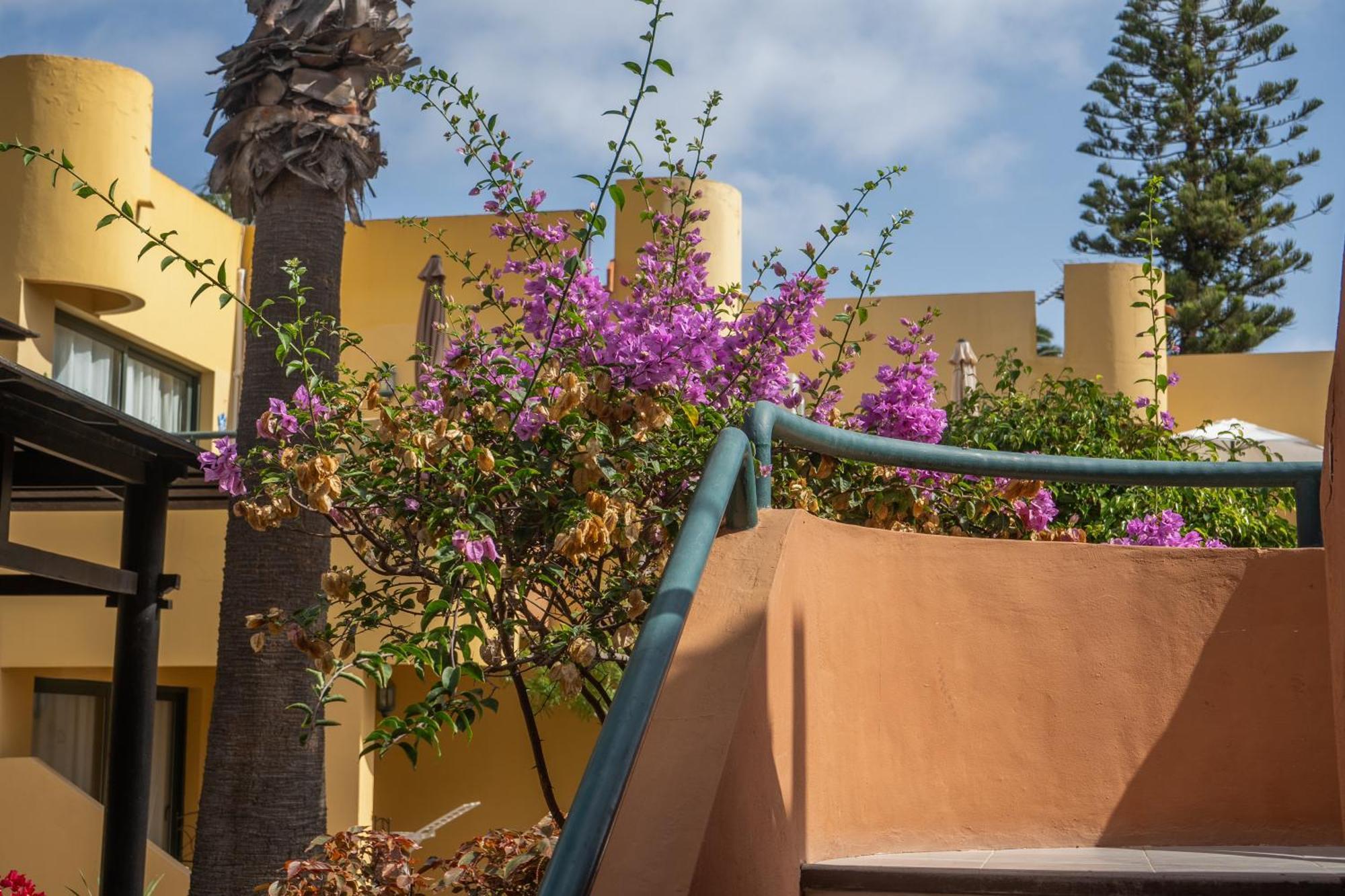 Apartment Casa Oceano Atlantik Garden *