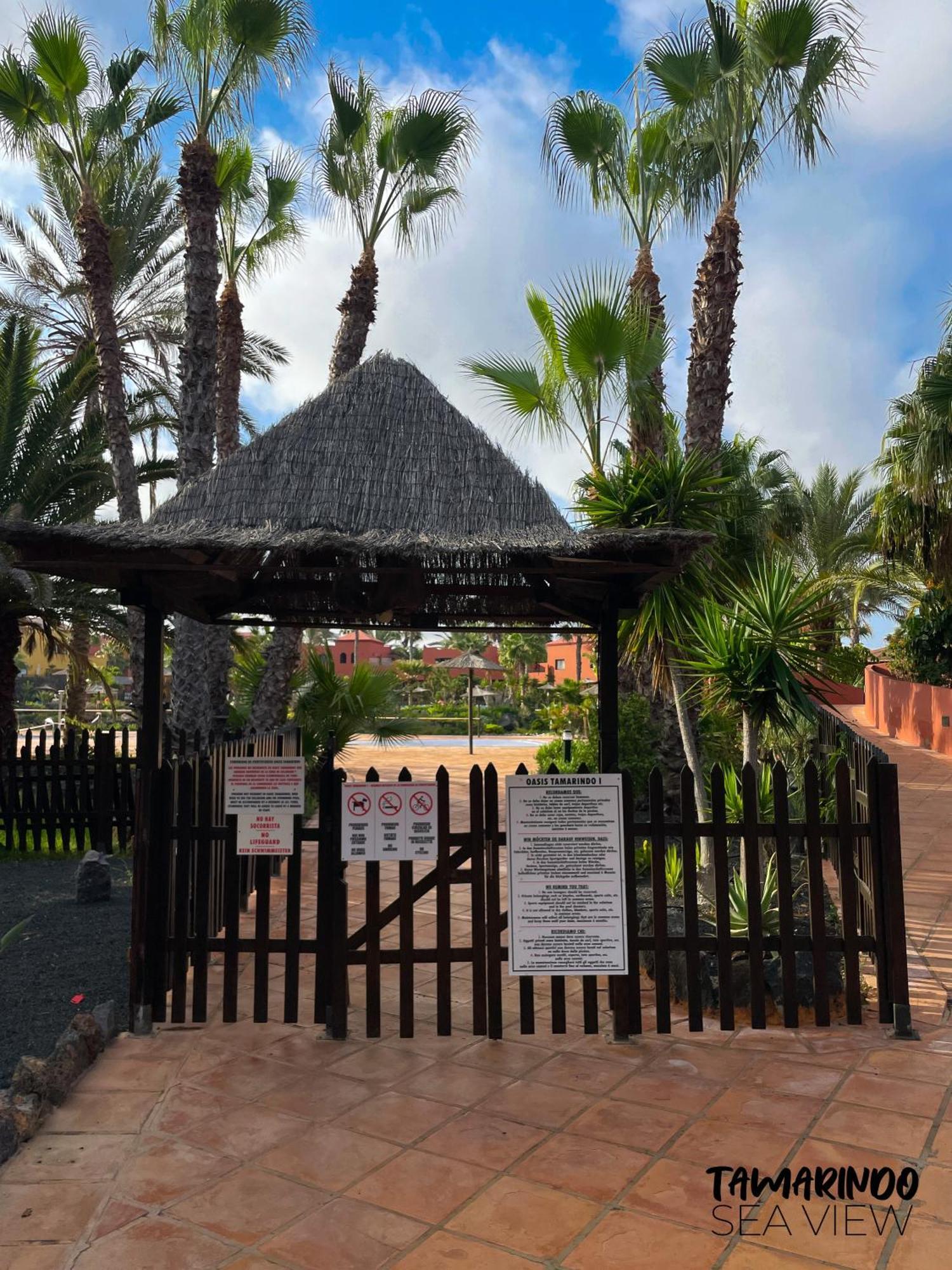Apartment B-rent Tamarindo Amazing Sea View