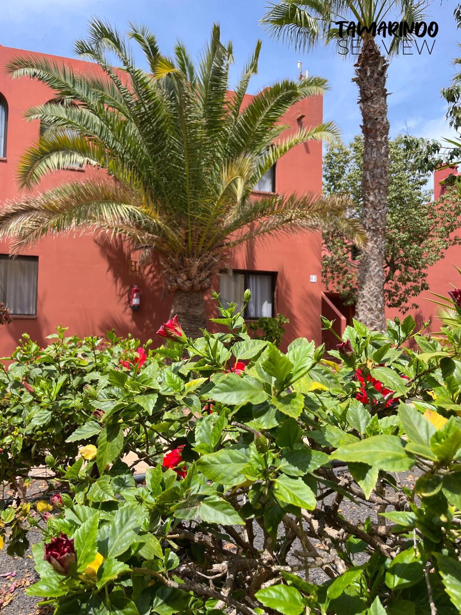 B-rent Tamarindo Amazing Sea View