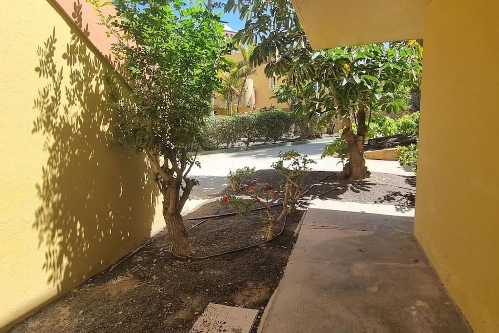 Atlantic Garden Charli Apartment Corralejo