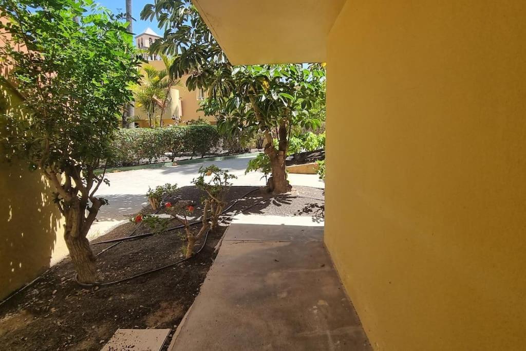 Atlantic Garden Charli Apartment Corralejo