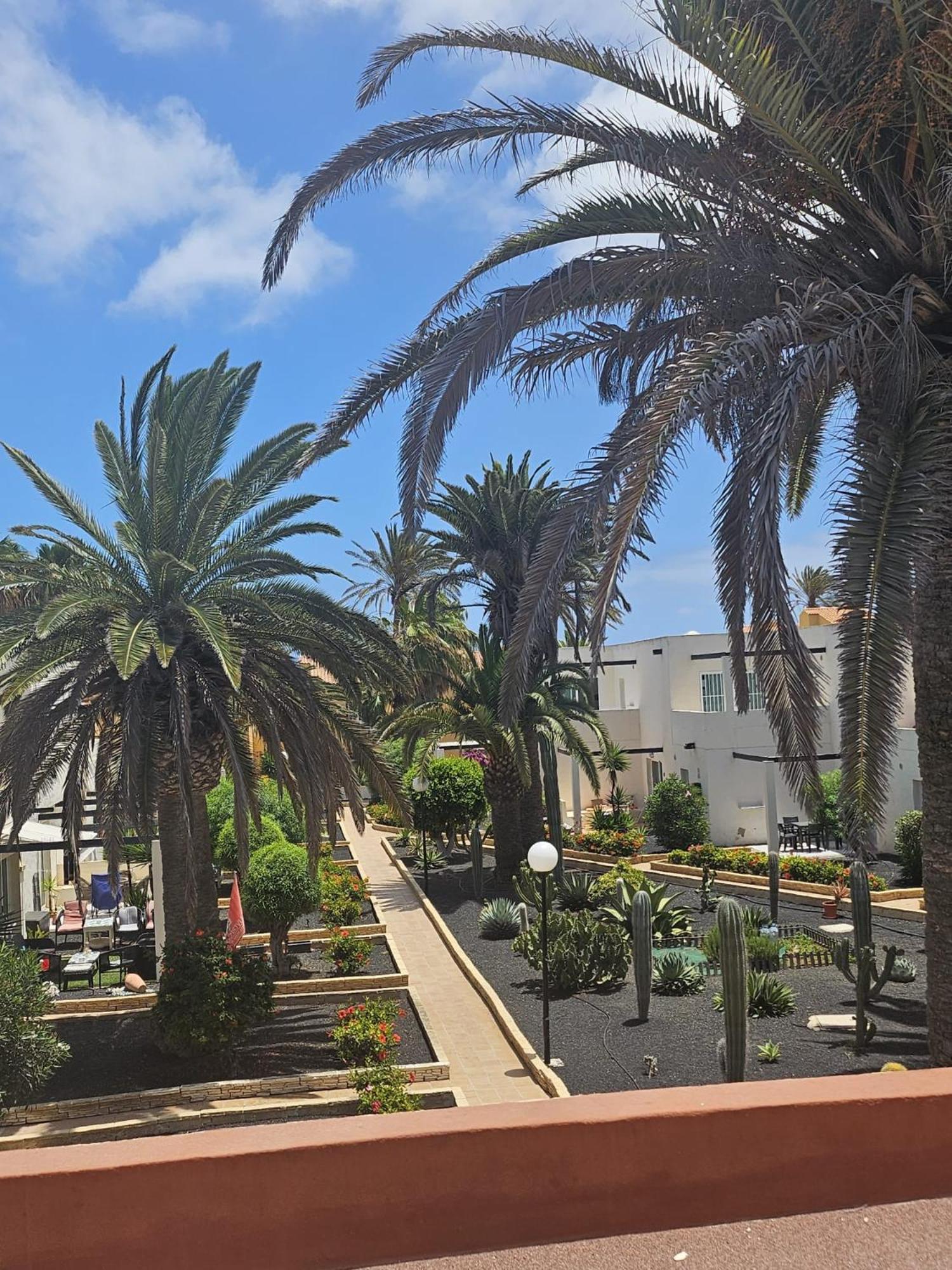 New Alisios Playa Corralejo