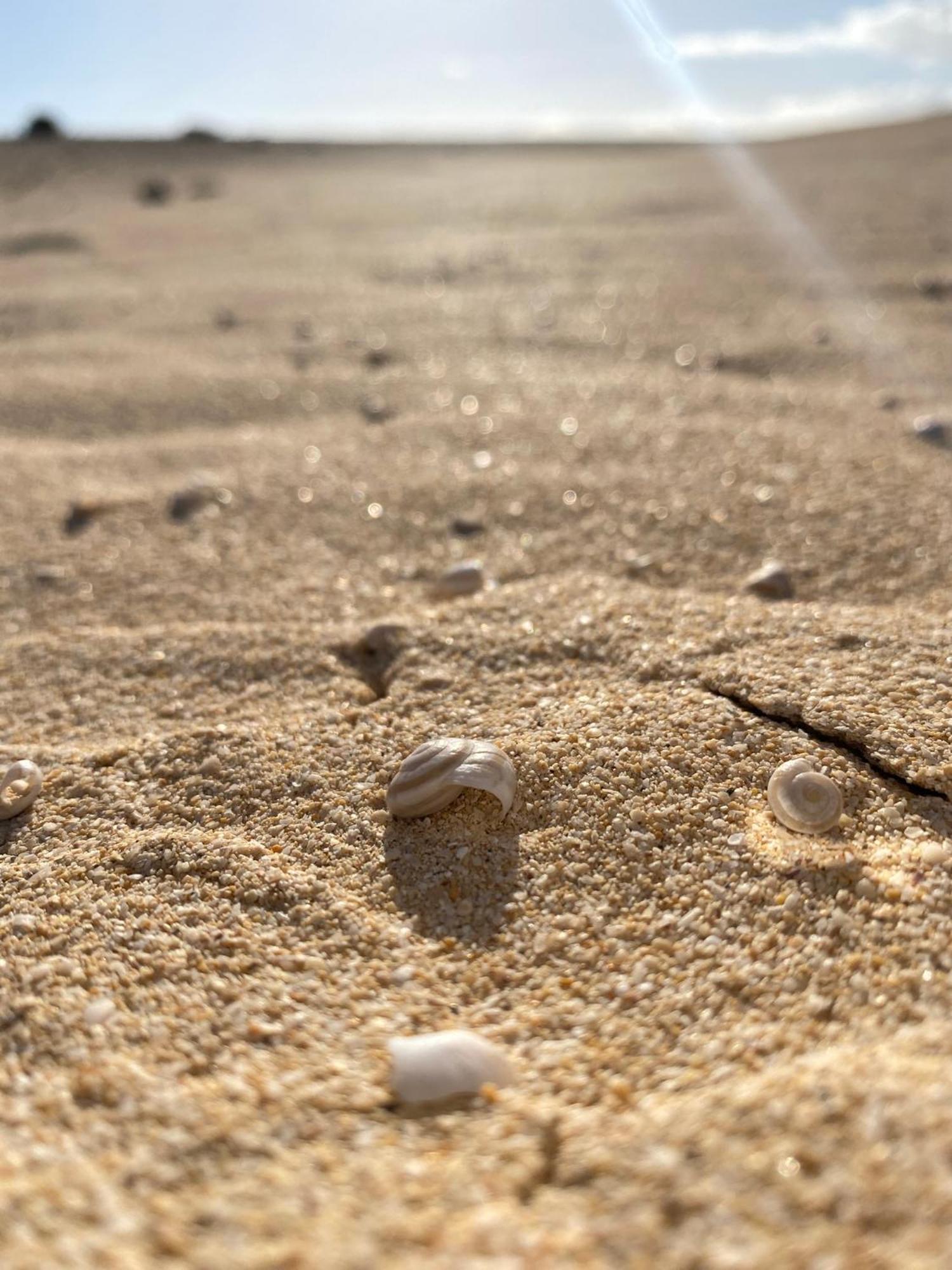 El Rincon Del Cangrejo * Corralejo