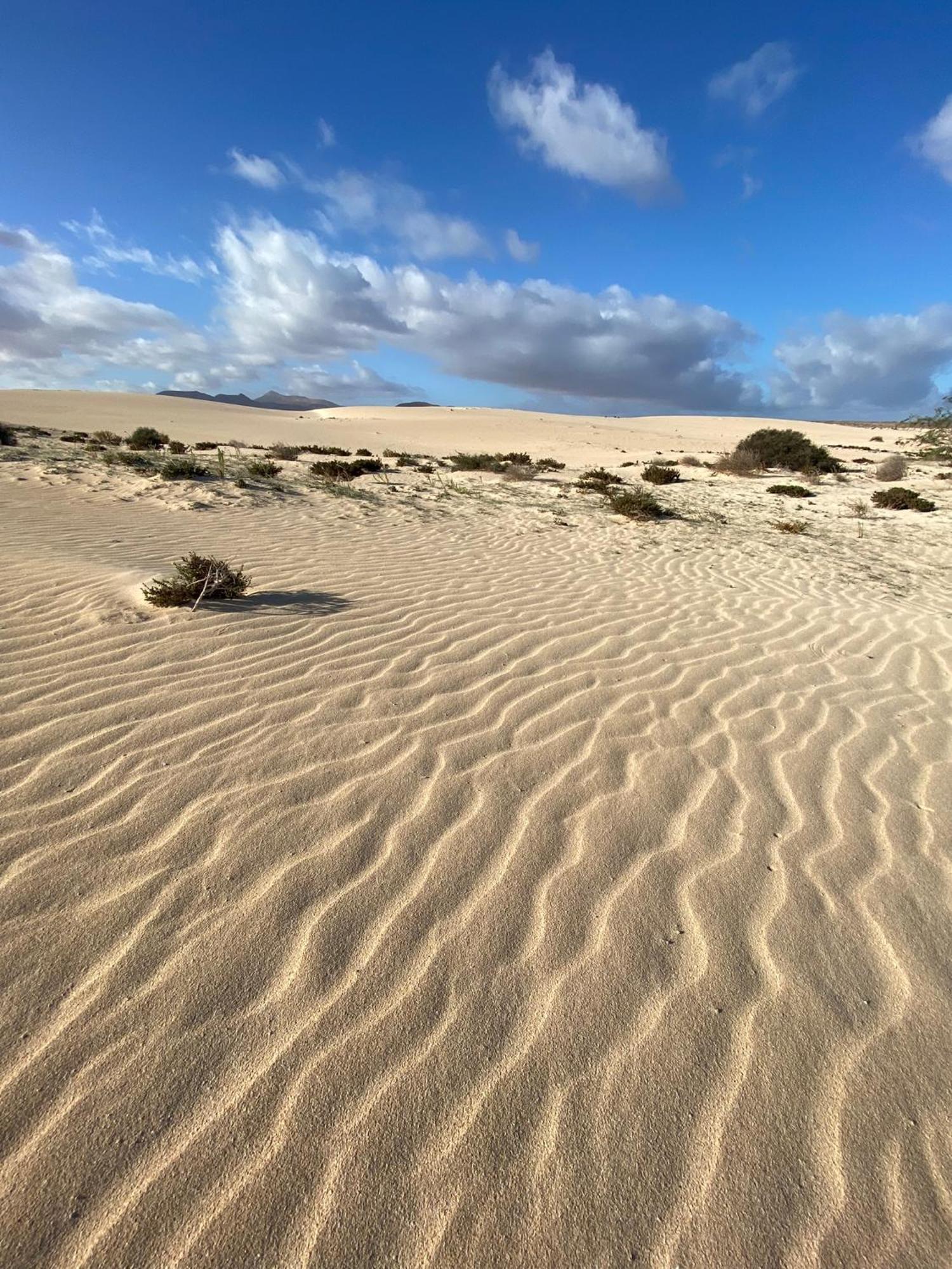 El Rincon Del Cangrejo Apartment Corralejo