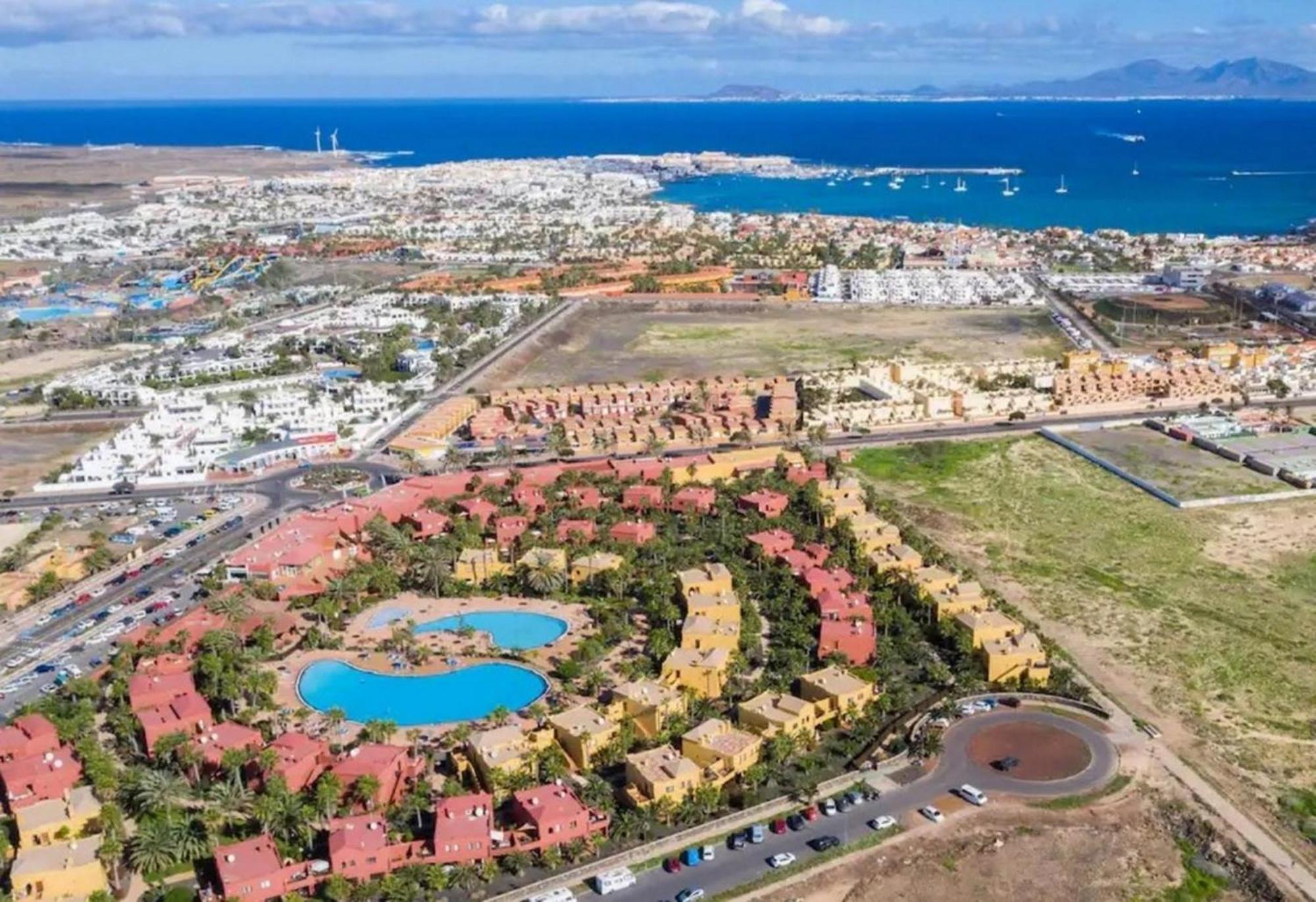 Gardenia, Oasis Tamarindo Corralejo