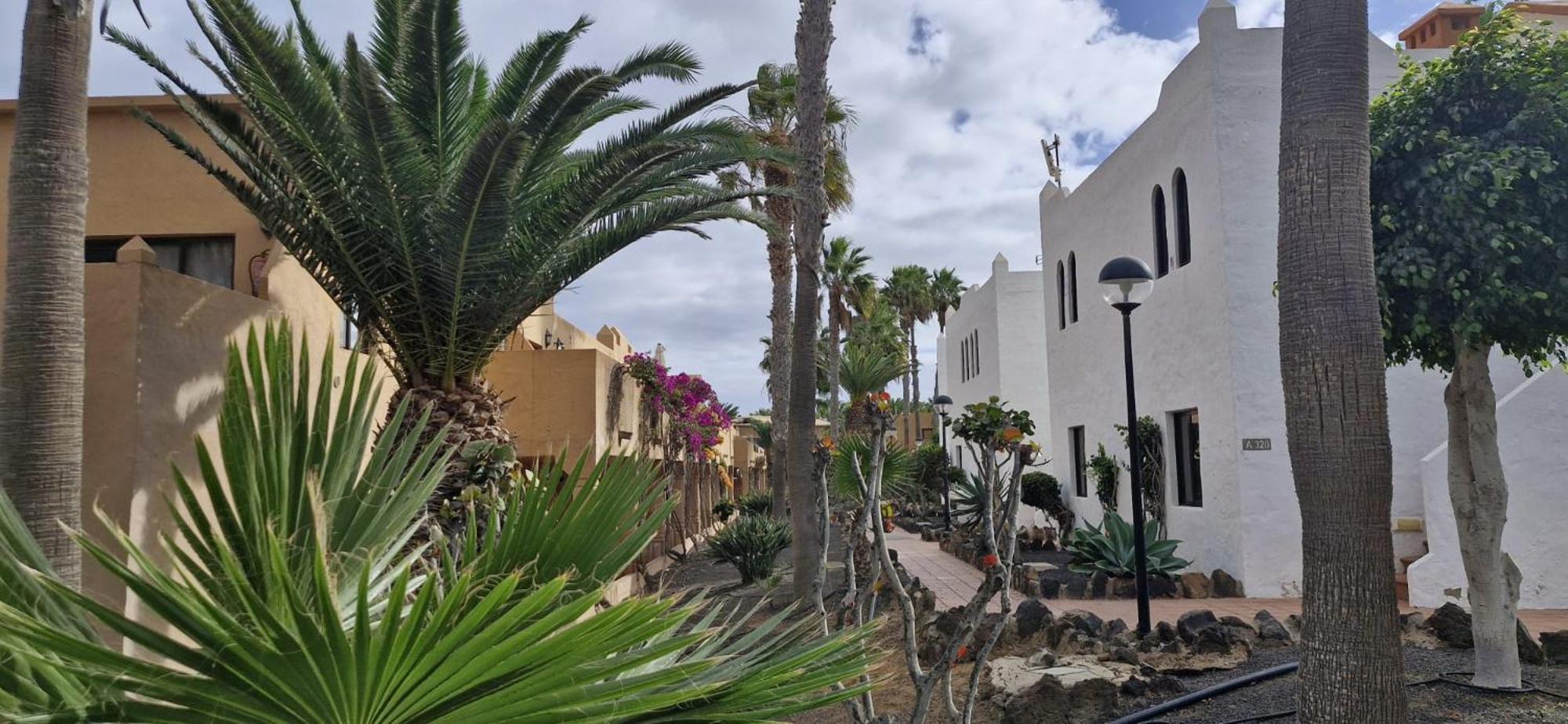 Casa Surf Oasis Corralejo