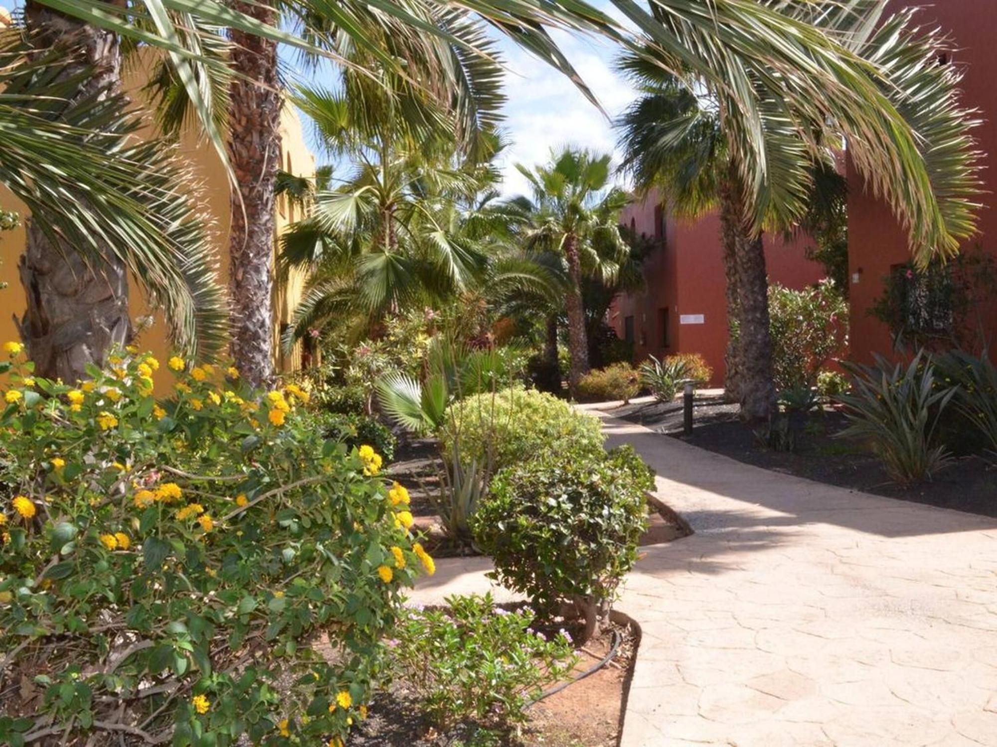 Apartment Tamarindo Piscinas De Agua Salada Fibra Optica