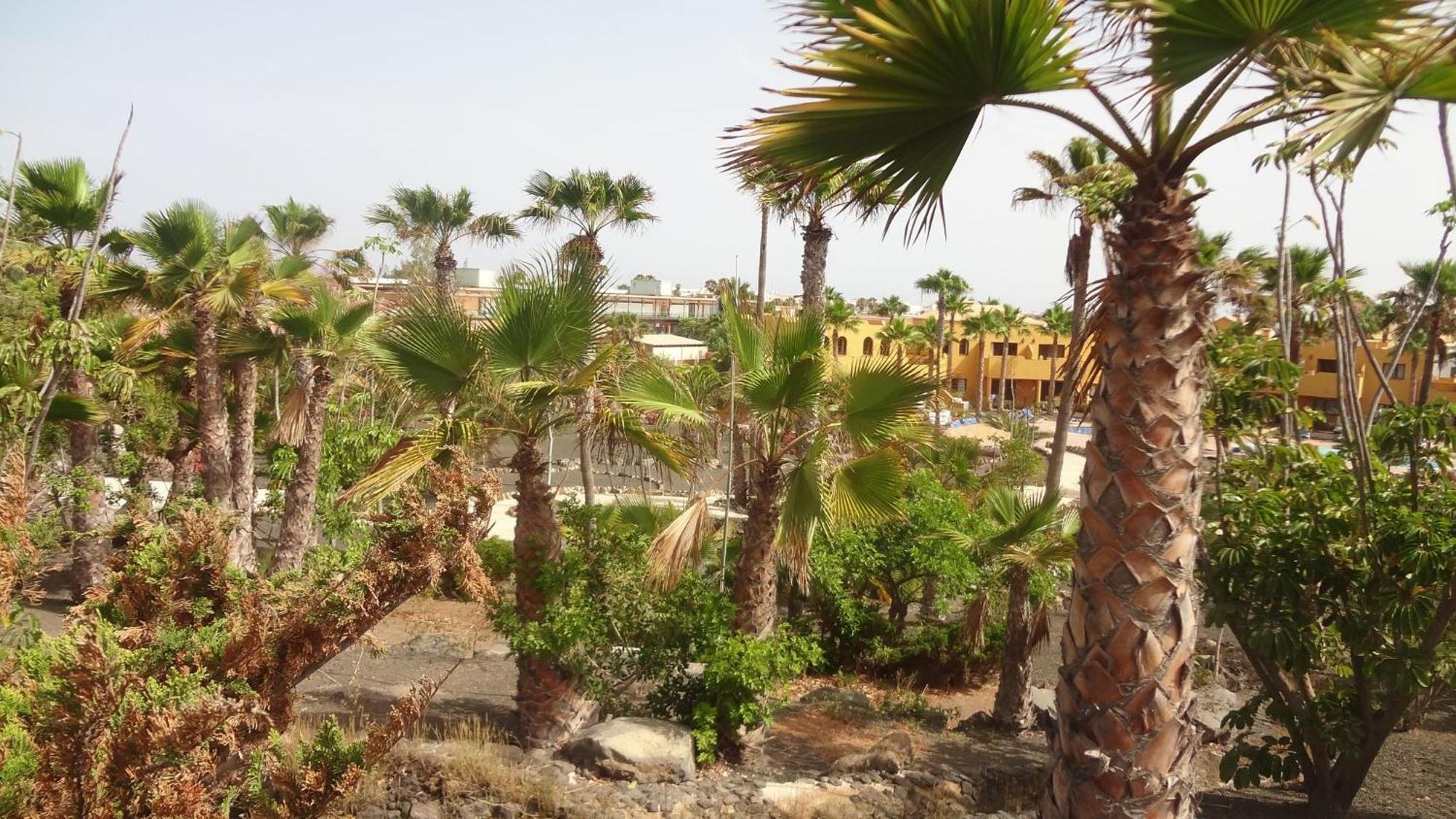 Apartment With 3 Swimming Pools Wifi Corralejo