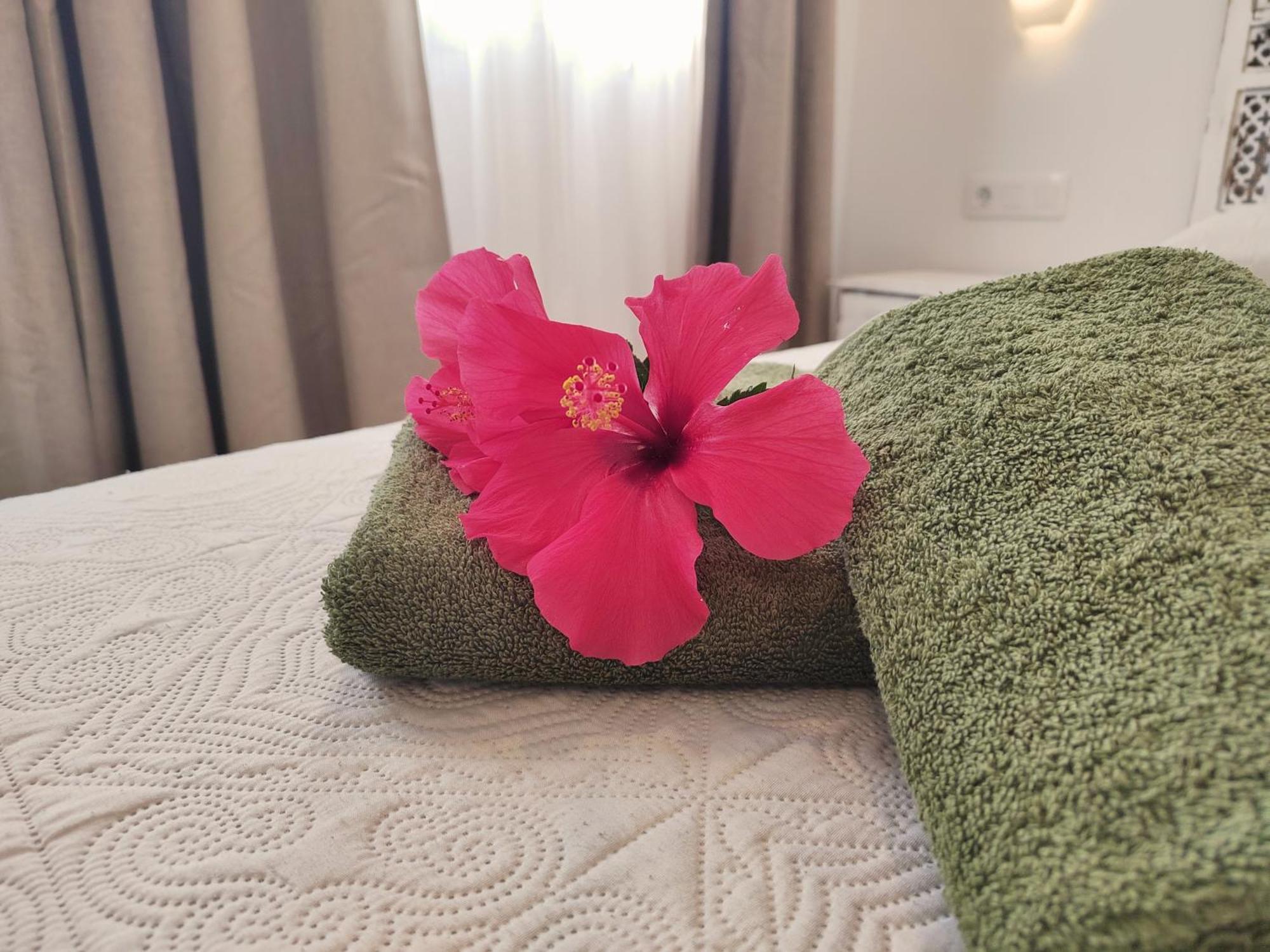Tamarindo 27 Pool Front Next To The Dunes, Free Wifi * Corralejo