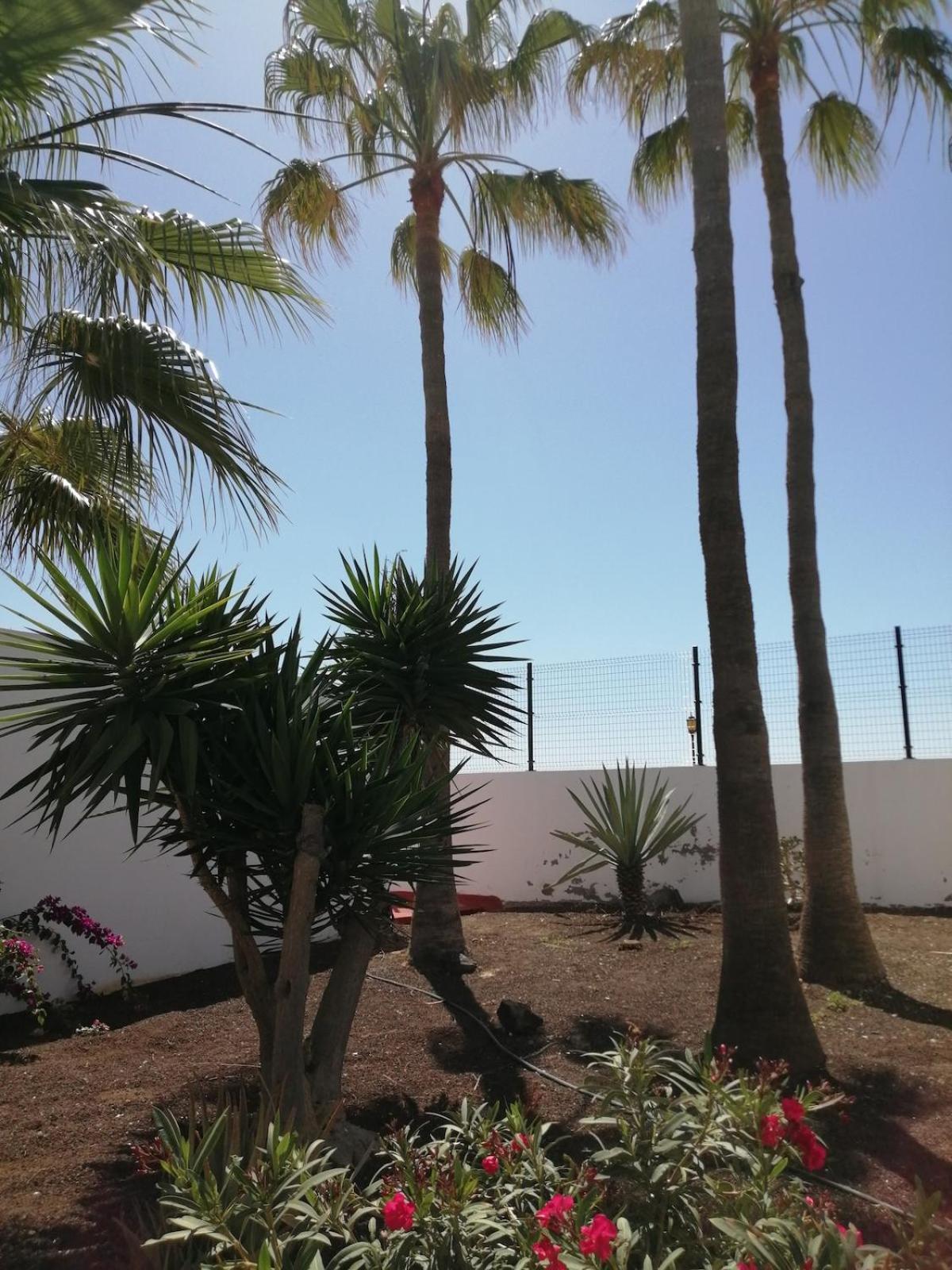 Casa Emma * Corralejo