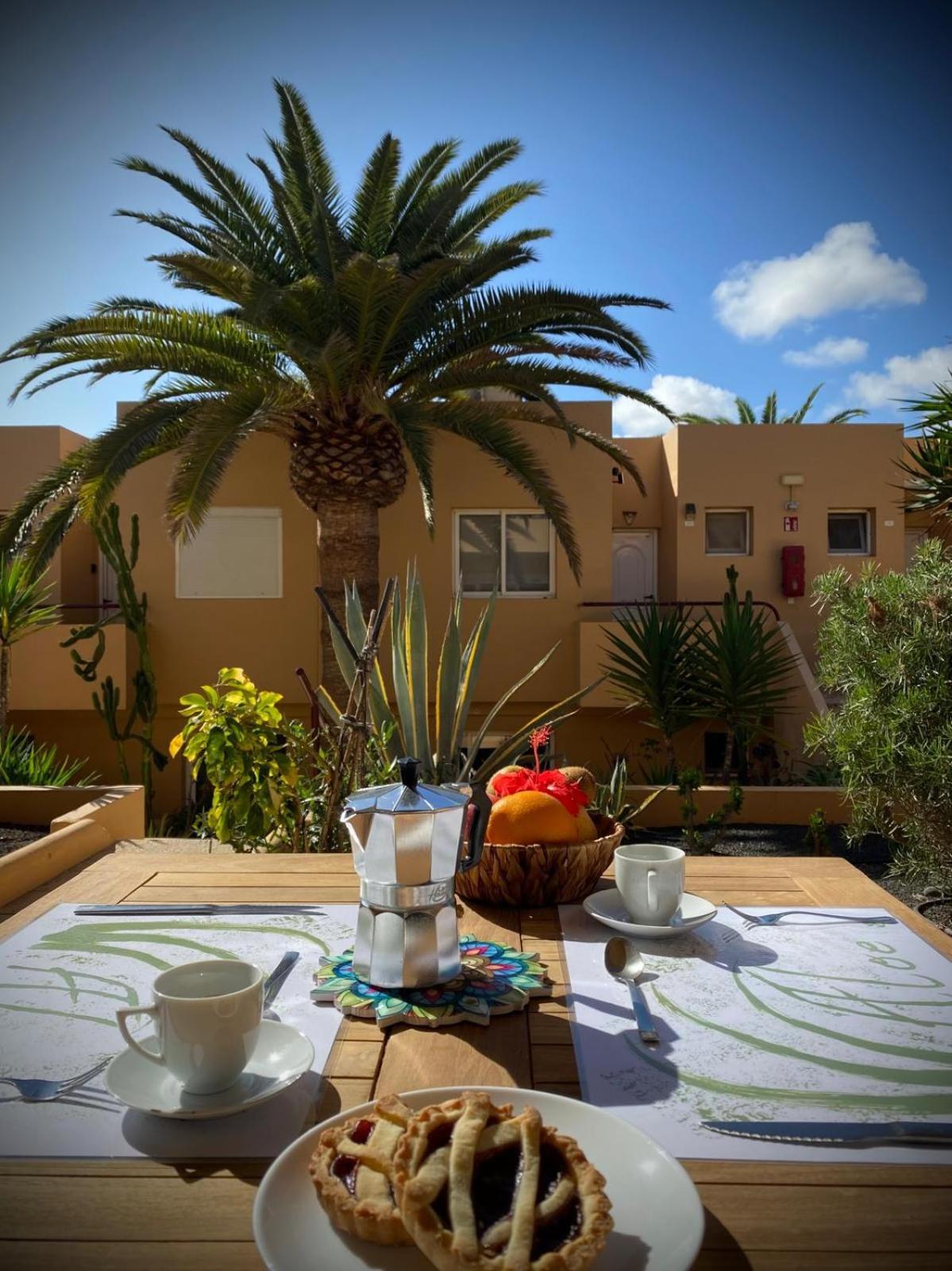 Aloe * Corralejo
