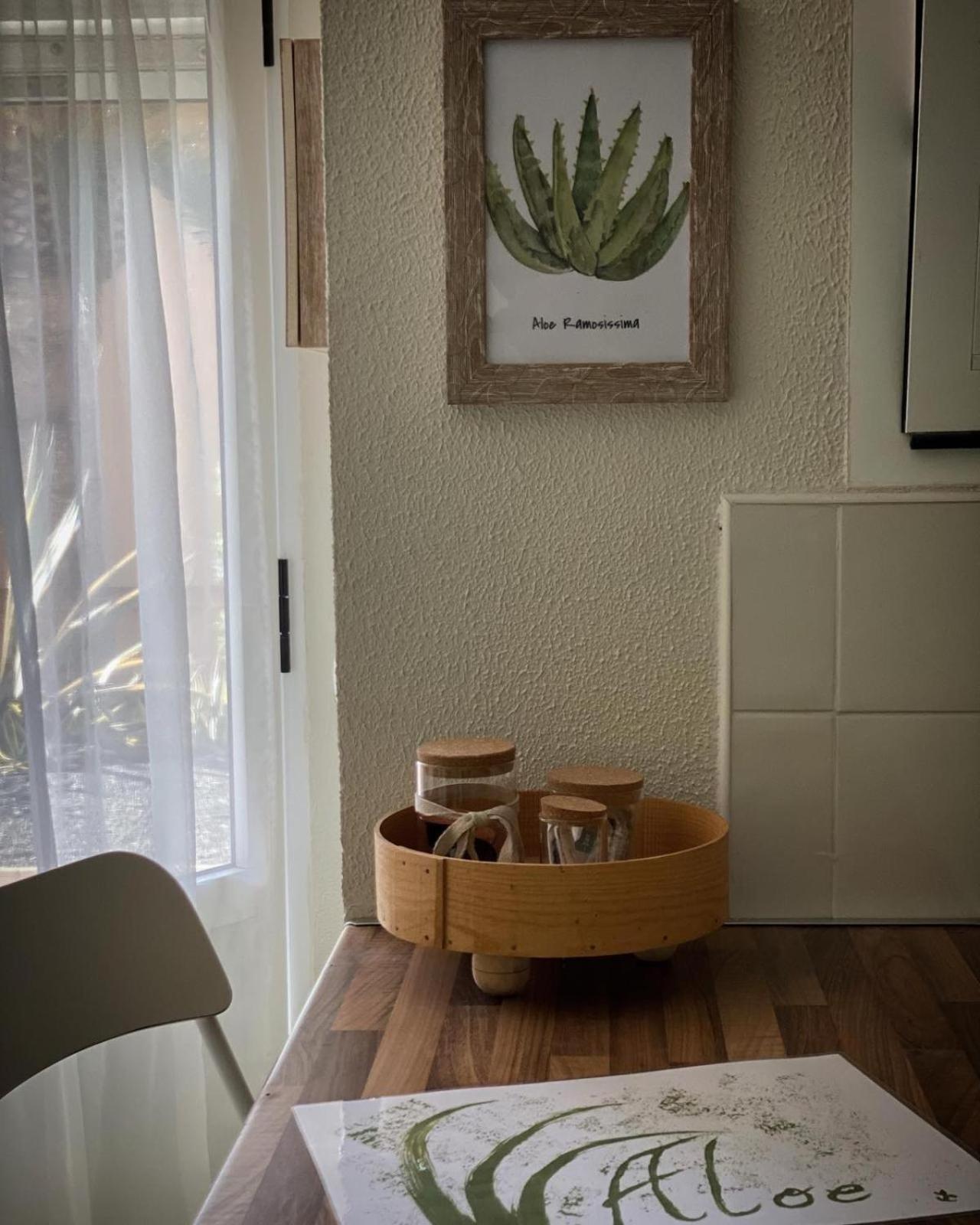 Aloe Apartment Corralejo