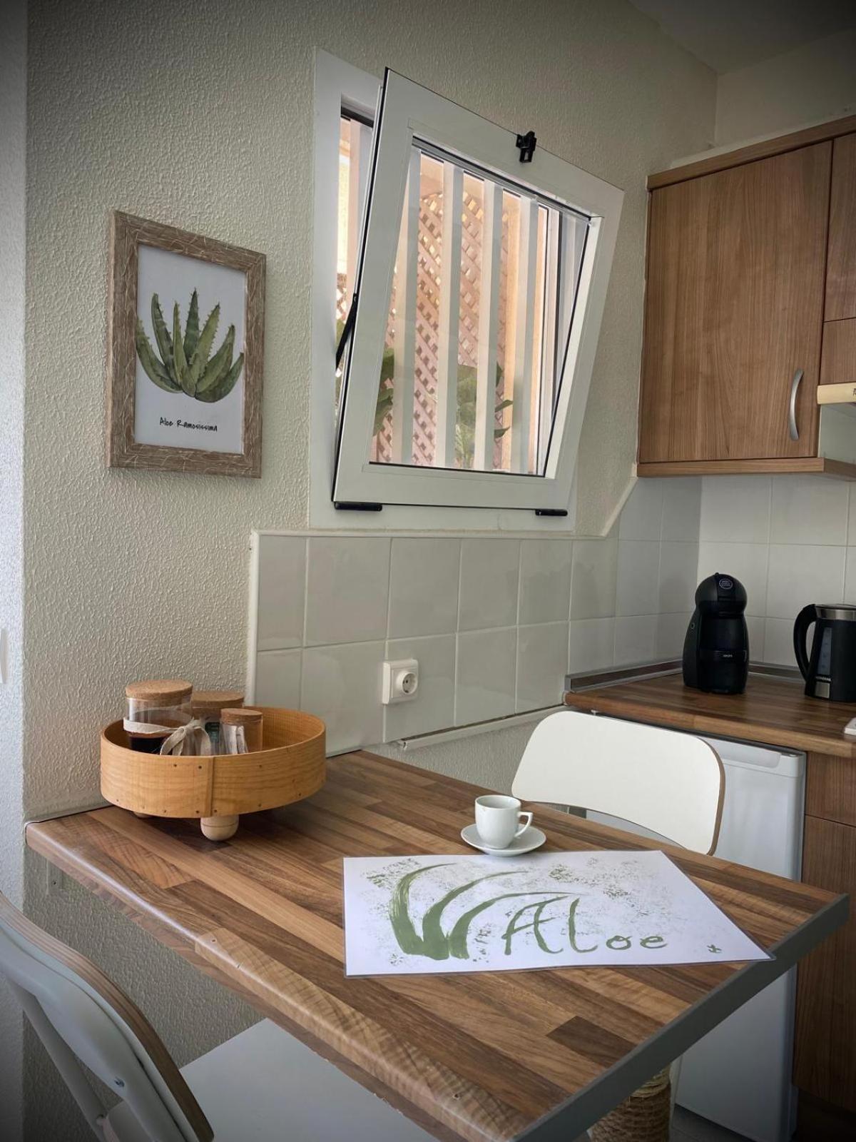 Aloe Apartment Corralejo