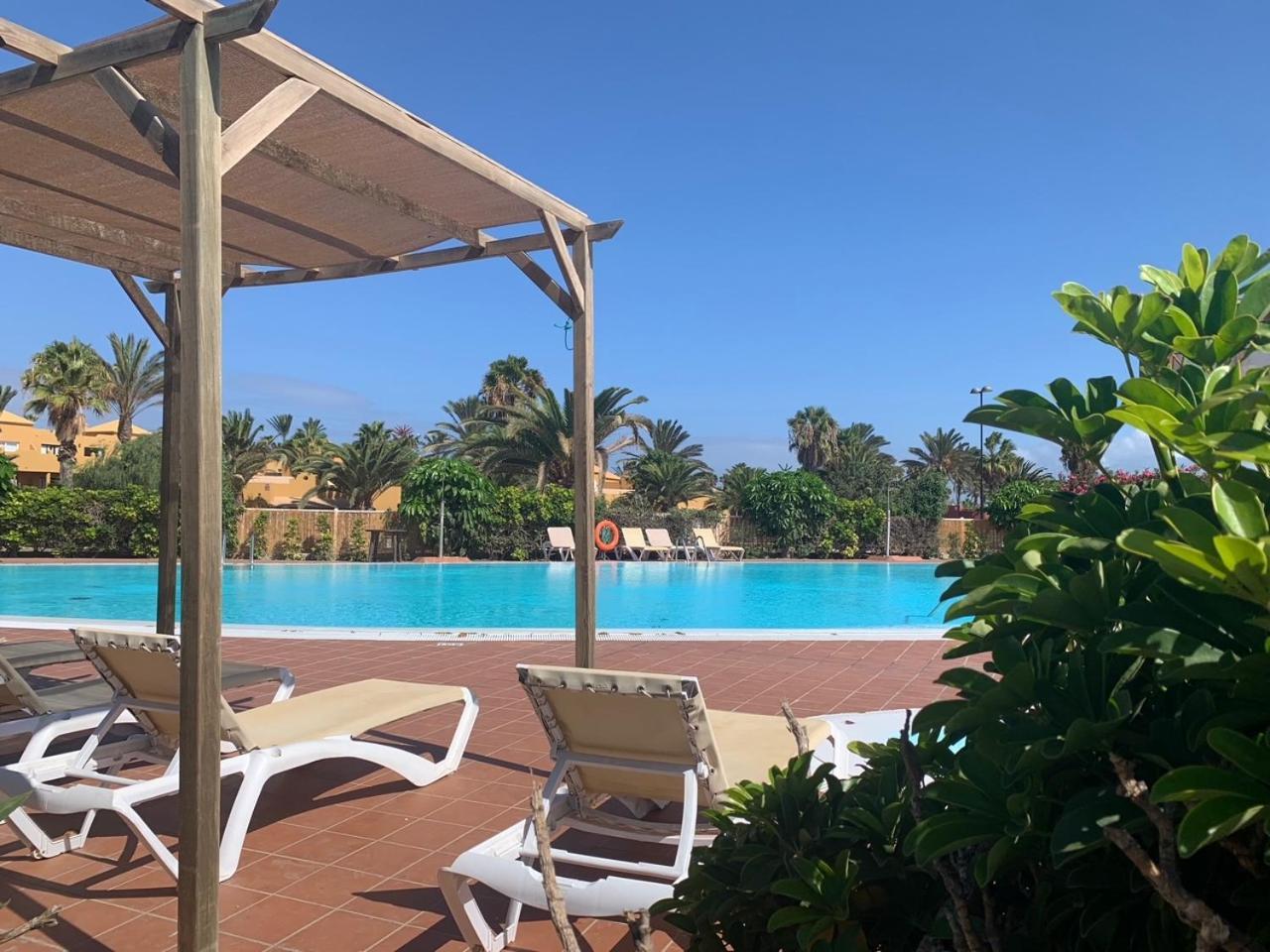Bedroom With Shared Bathroom And Swimming Pool Bed & Breakfast Corralejo
