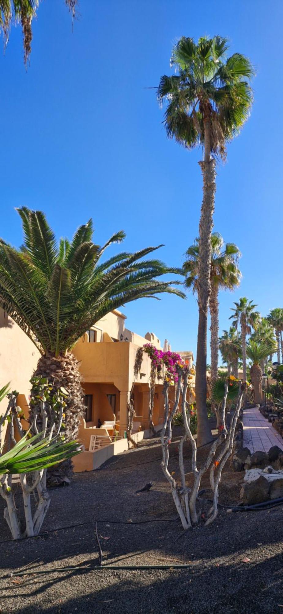 Casa Surf Oasis Apartment