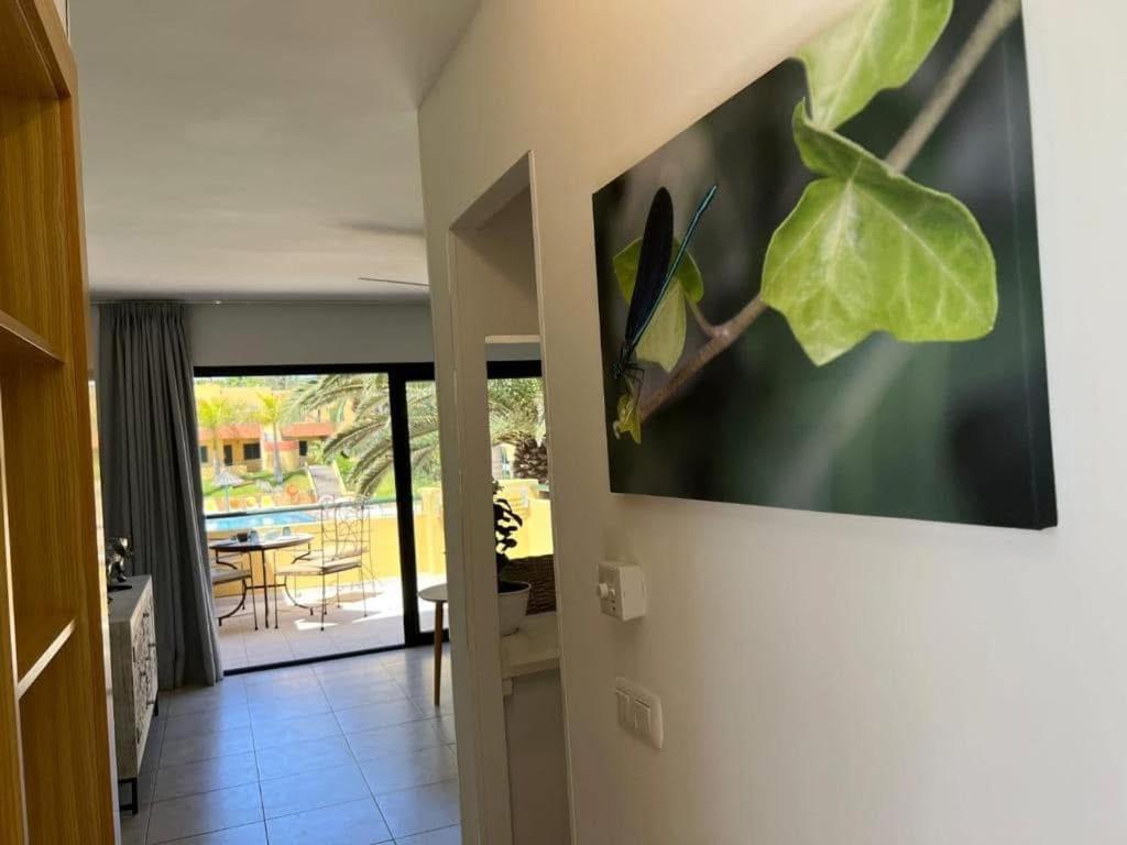 Holiday home Atlantic Garden Andrew Pool Air Conditioning *