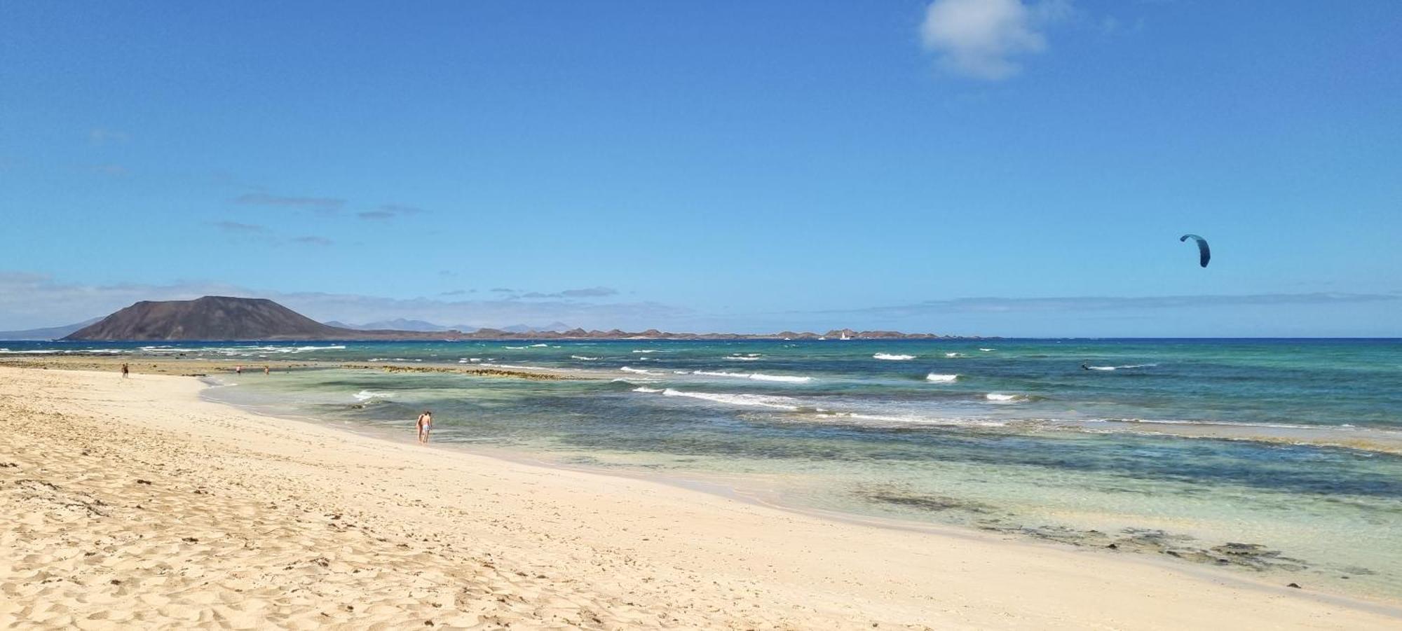 Drago 2 Atlantic Garden Corralejo