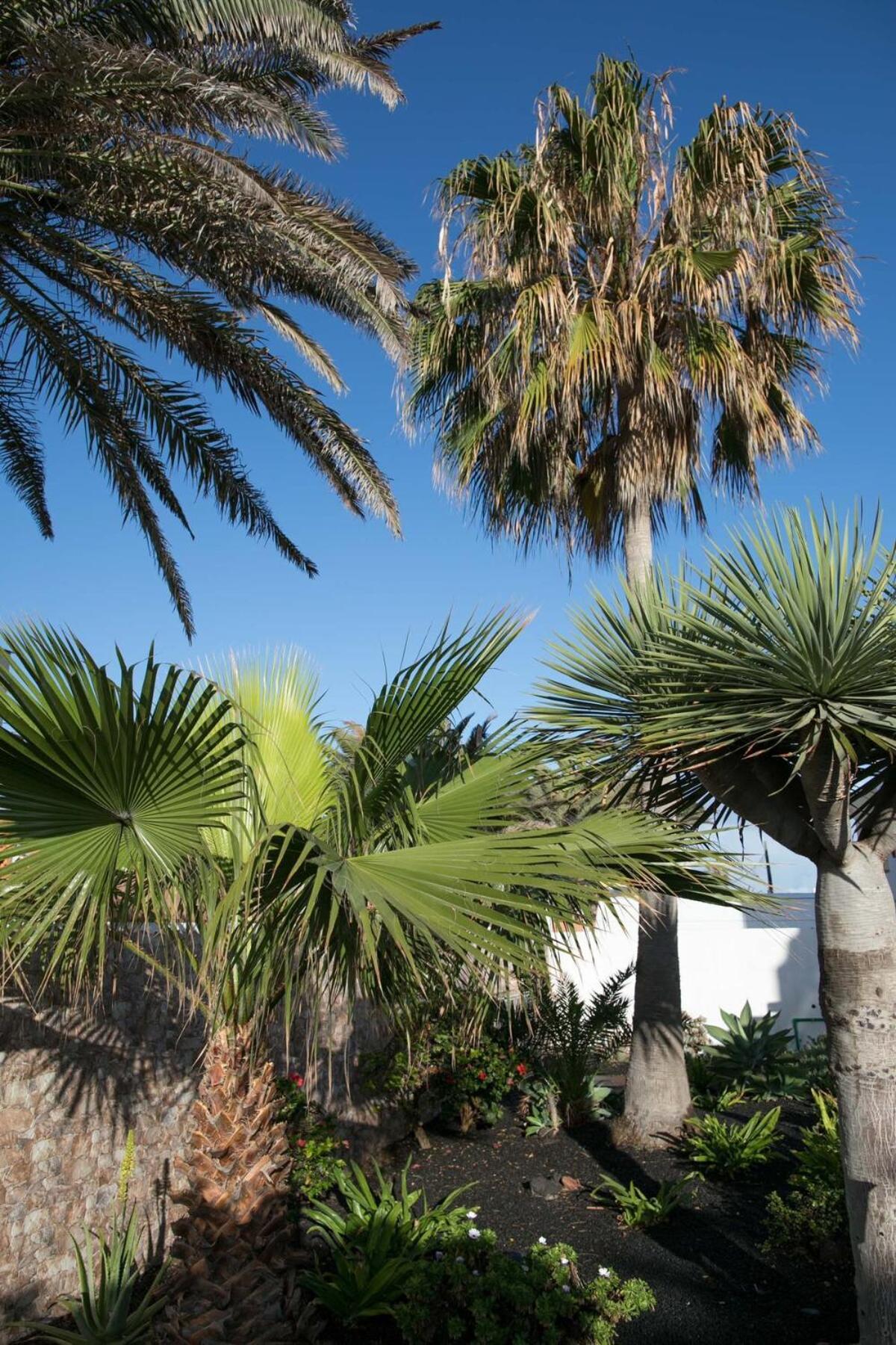 'casa Ola' Relax In Style By The Sea