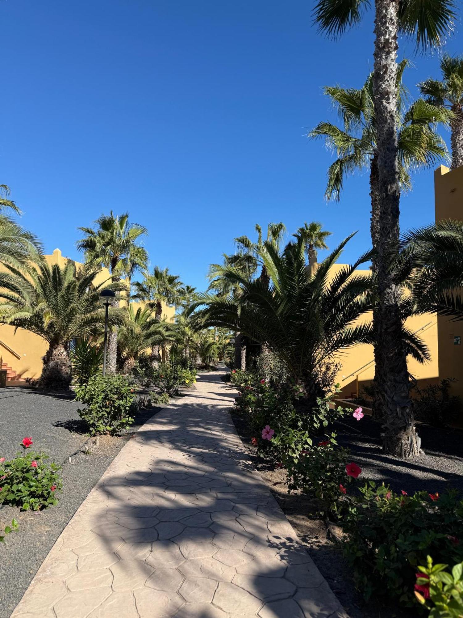 Casa Alma Corralejo