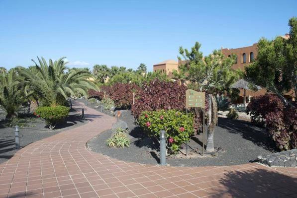 Oasis Royal 1d Apartamento *